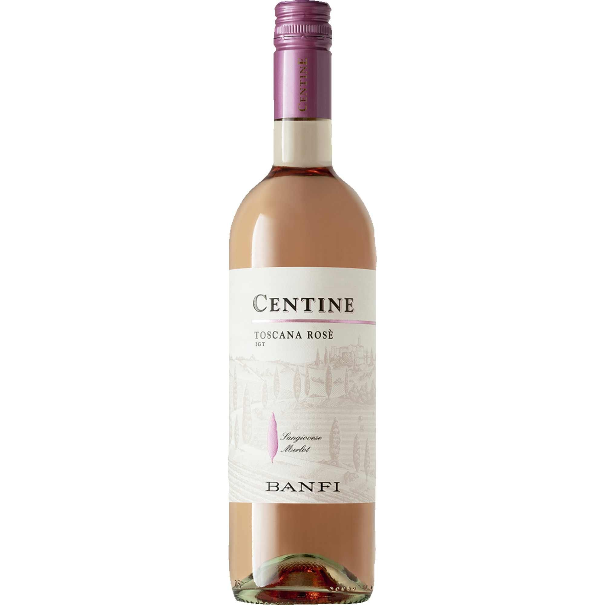 Centine Rosato, Toscana IGT, Toskana, 2020, Roséwein Banfi S.r.l., 53024 Montalcino, Italia Hawesko DE