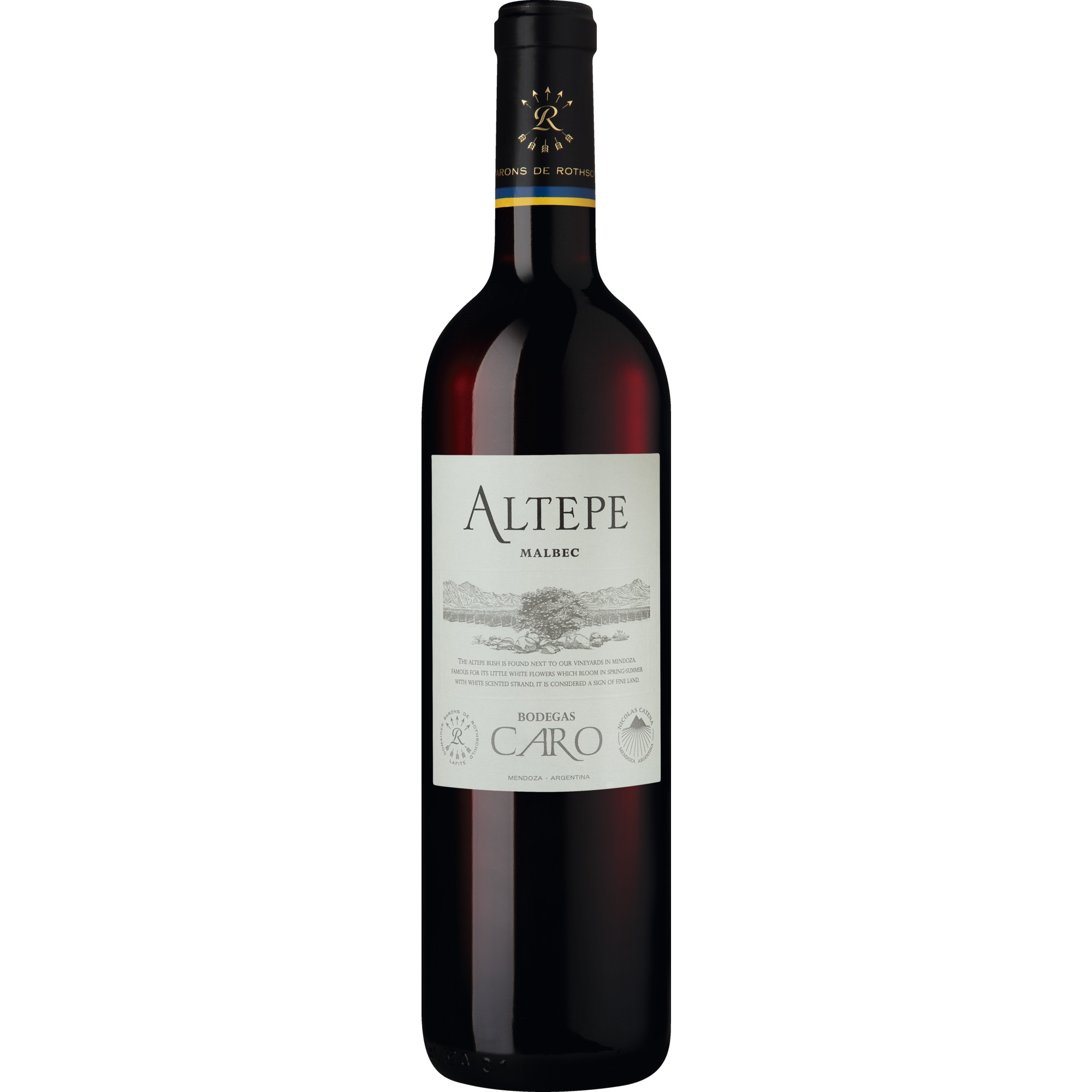 Altepe Malbec, Mendoza, Mendoza, 2021, Rotwein