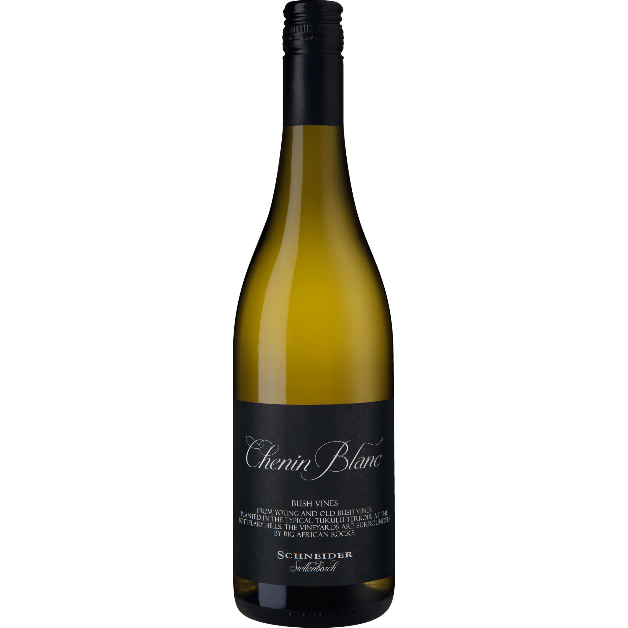 Markus Schneider Chenin Blanc Bush Vines, WO Stellenbosch, Western Cape, 2022, Weißwein  Weißwein Hawesko