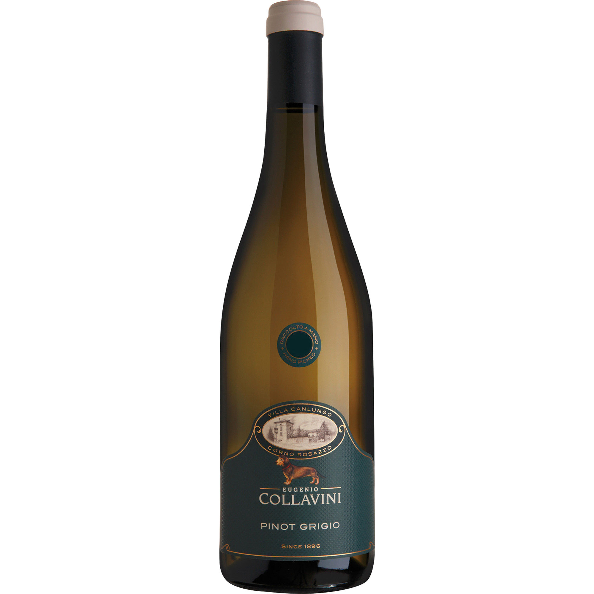 Collavini Villa Canlungo Pinot Grigio, Friaul DOC, Friaul, 2022, Weißwein