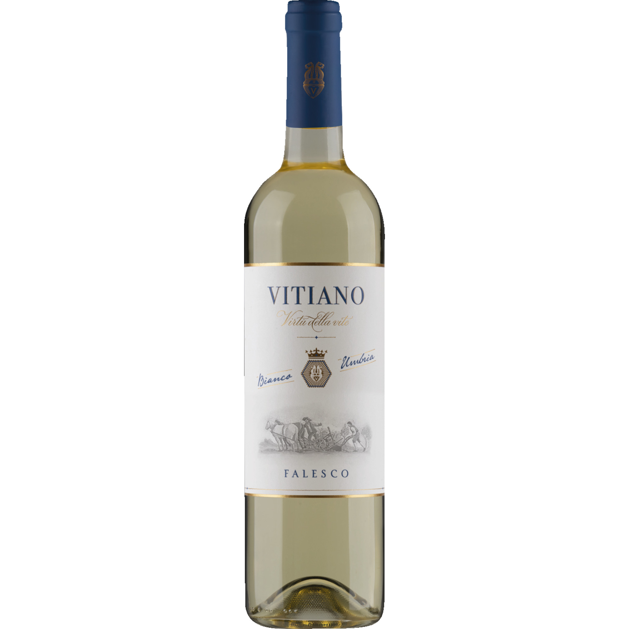 Vitiano Bianco, Vino Bianco Umbria IGP, Umbrien, 2022, Weißwein