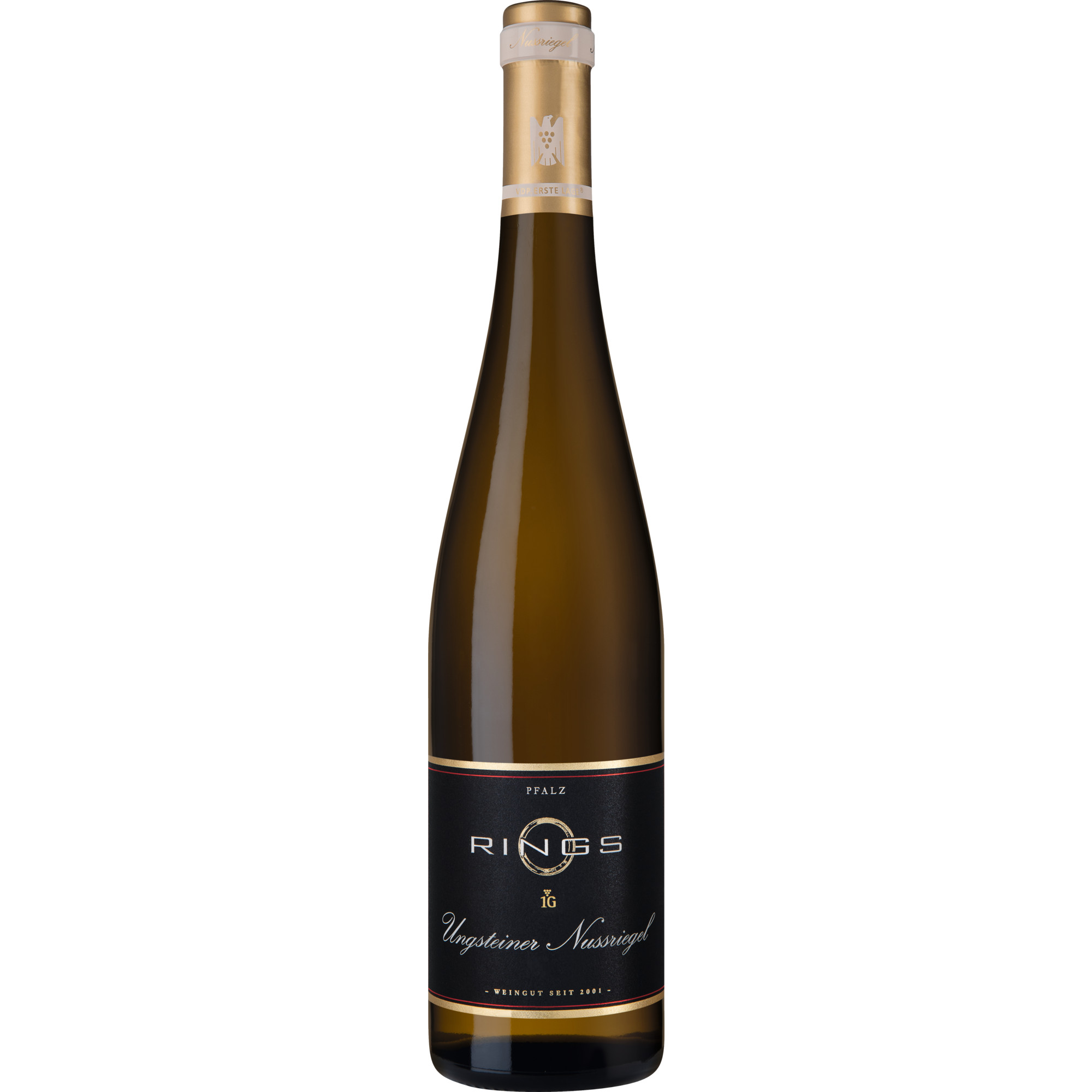 Ungsteiner Nussriegel Riesling Erste Lage, Trocken, Pfalz, Pfalz, 2021, Weißwein