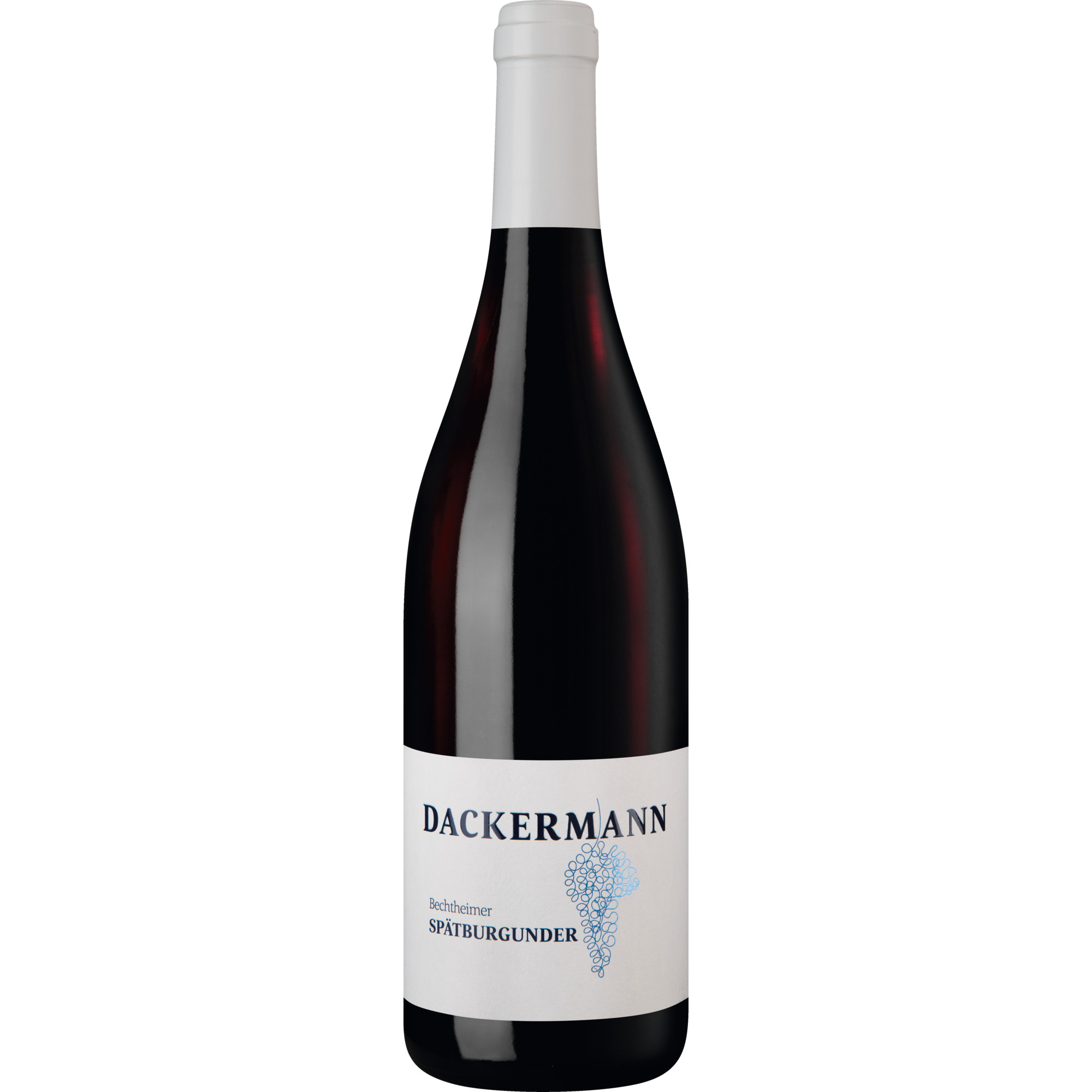 Bechtheimer Spätburgunder, Trocken, Rheinhessen, Rheinhessen, 2019, Rotwein Weingut Dackermann, Gaustraße 15, D - 67596 Dittelsheim-Hessloch Hawesko DE