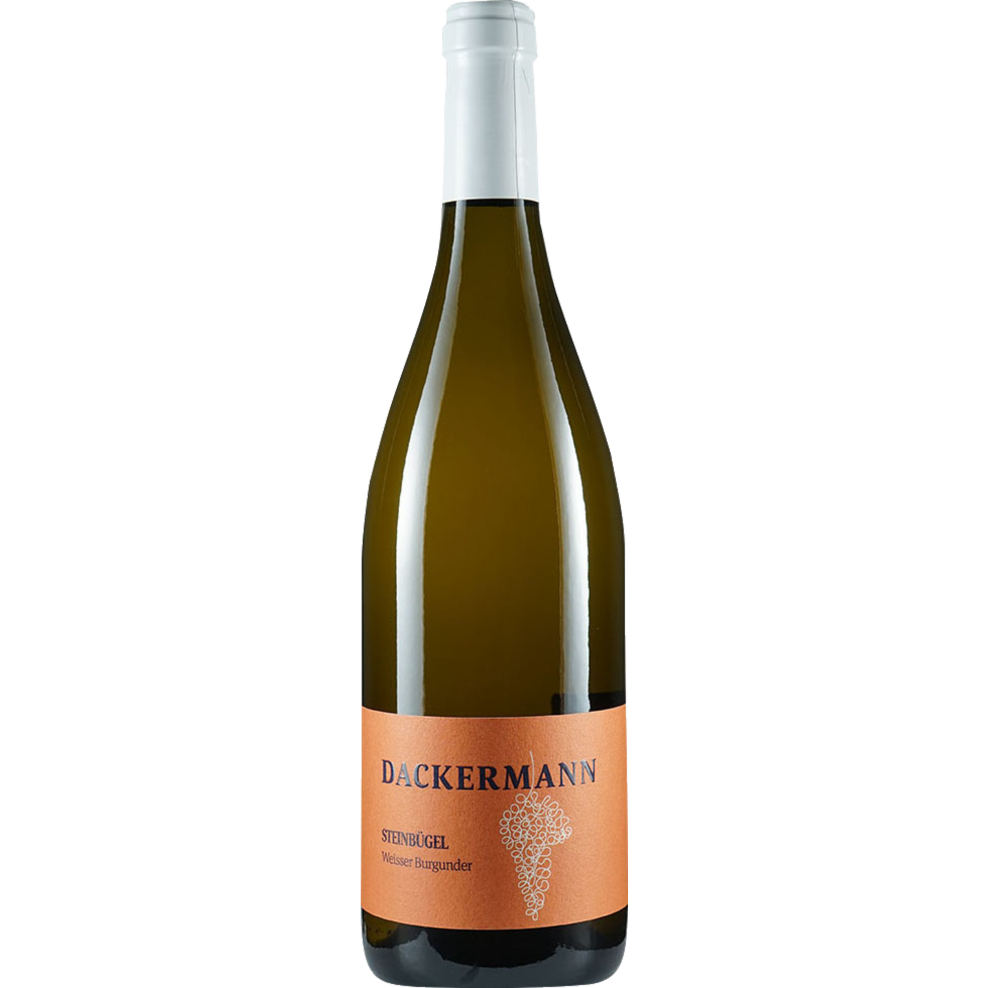 Steinbügel Weißburgunder, Trocken, Rheinhessen, Rheinhessen, 2019, Weißwein Weingut Dackermann, Gaustraße 15, D - 67596 Dittelsheim-Hessloch Hawesko DE