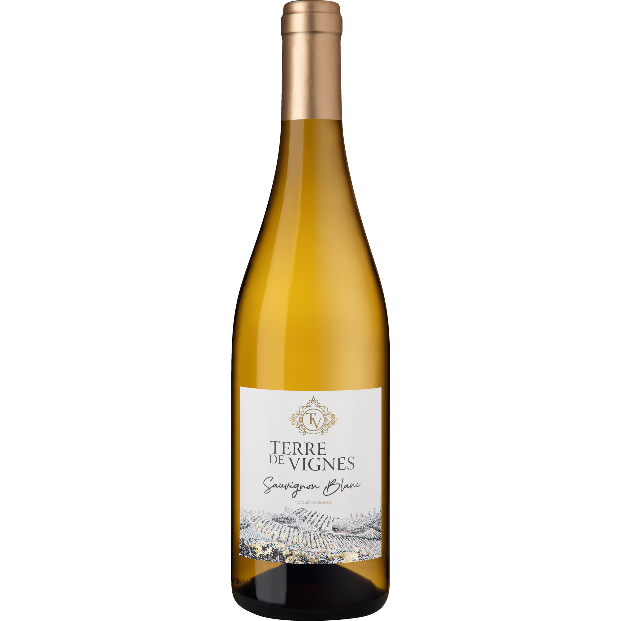 Terre de Vignes Sauvignon Blanc, Pays d%27Oc IGP, Languedoc-Roussillon, 2022, Weißwein  Weißwein Hawesko