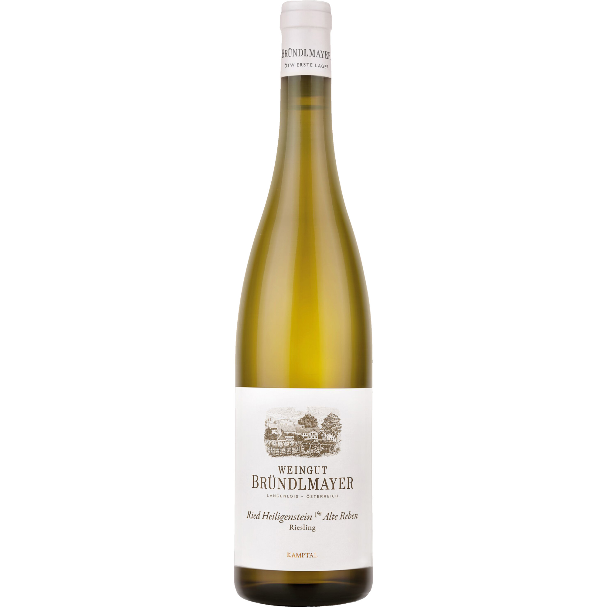 Alte Reben Ried Heiligenstein Riesling, Trocken,Kamptal, Niederösterreich, 2020, Weißwein