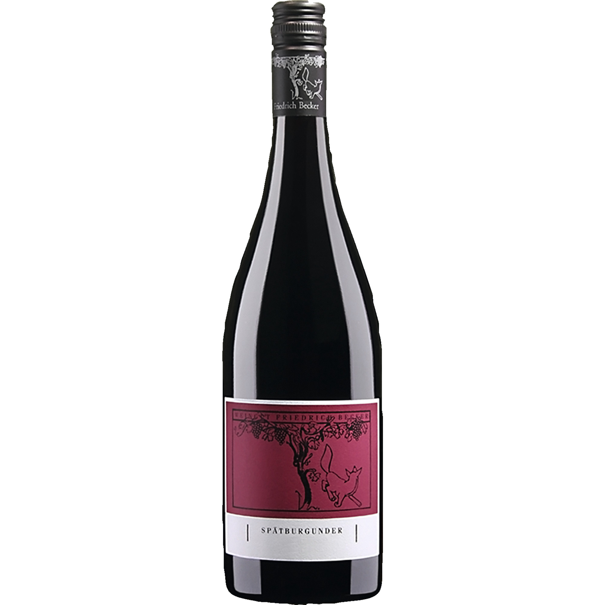 Friedrich Becker Spätburgunder, trocken, Pfalz, Pfalz, 2019, Rotwein