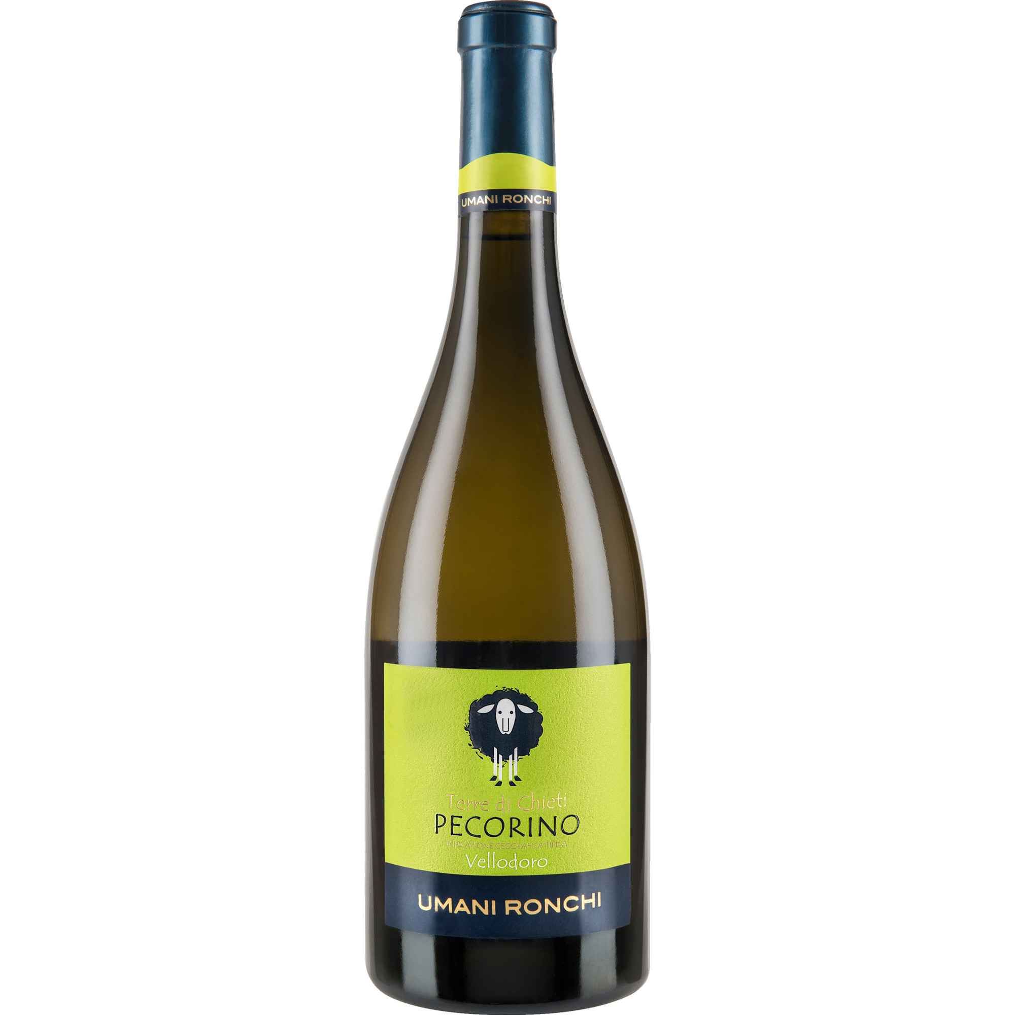 Vellodoro Pecorino, Terre di Chieti IGT, Abruzzen, 2022, Weißwein