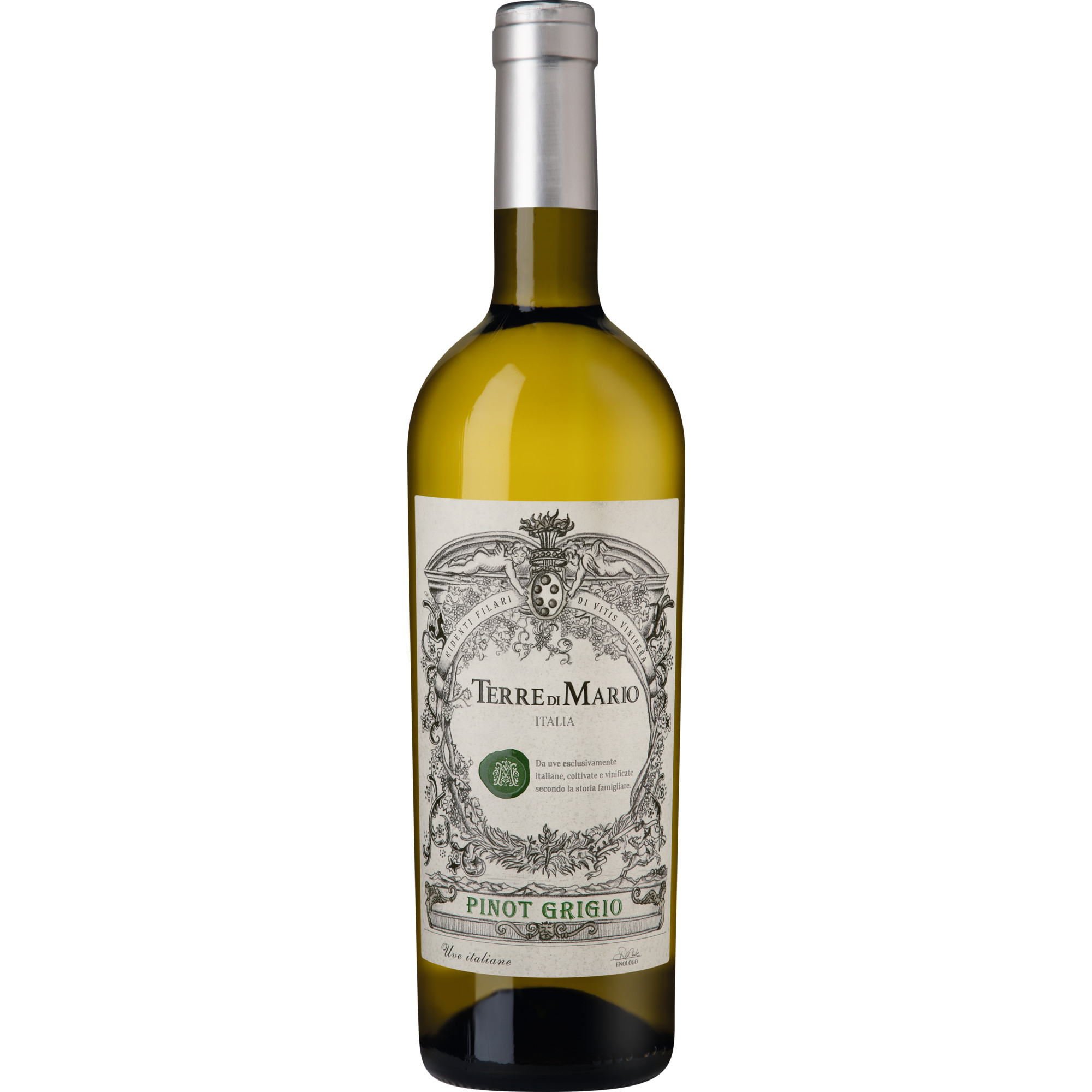 Terre di Mario Pinot Grigio, Terre di Chieti IGP, Abruzzen, 2022, Weißwein