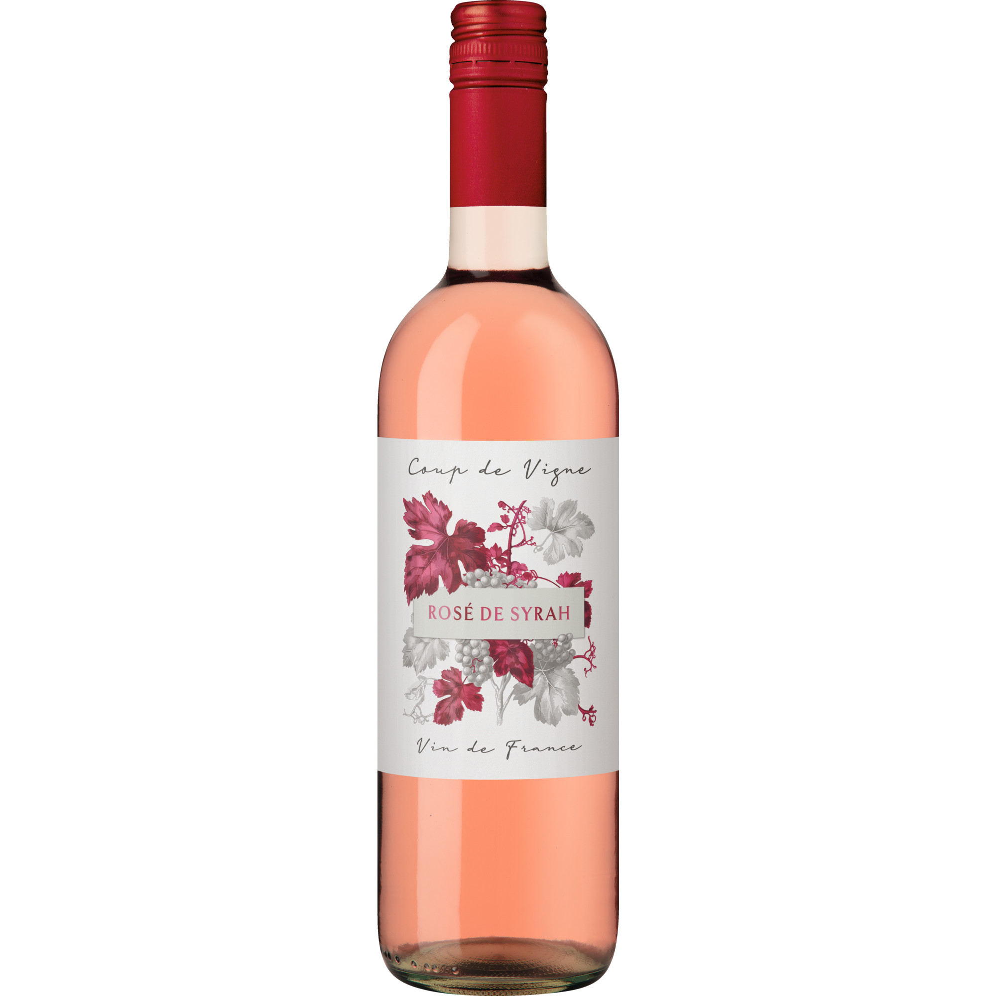 Coup de Vigne Rosé de Syrah, Vin de France, Vin de France, 2023, Roséwein