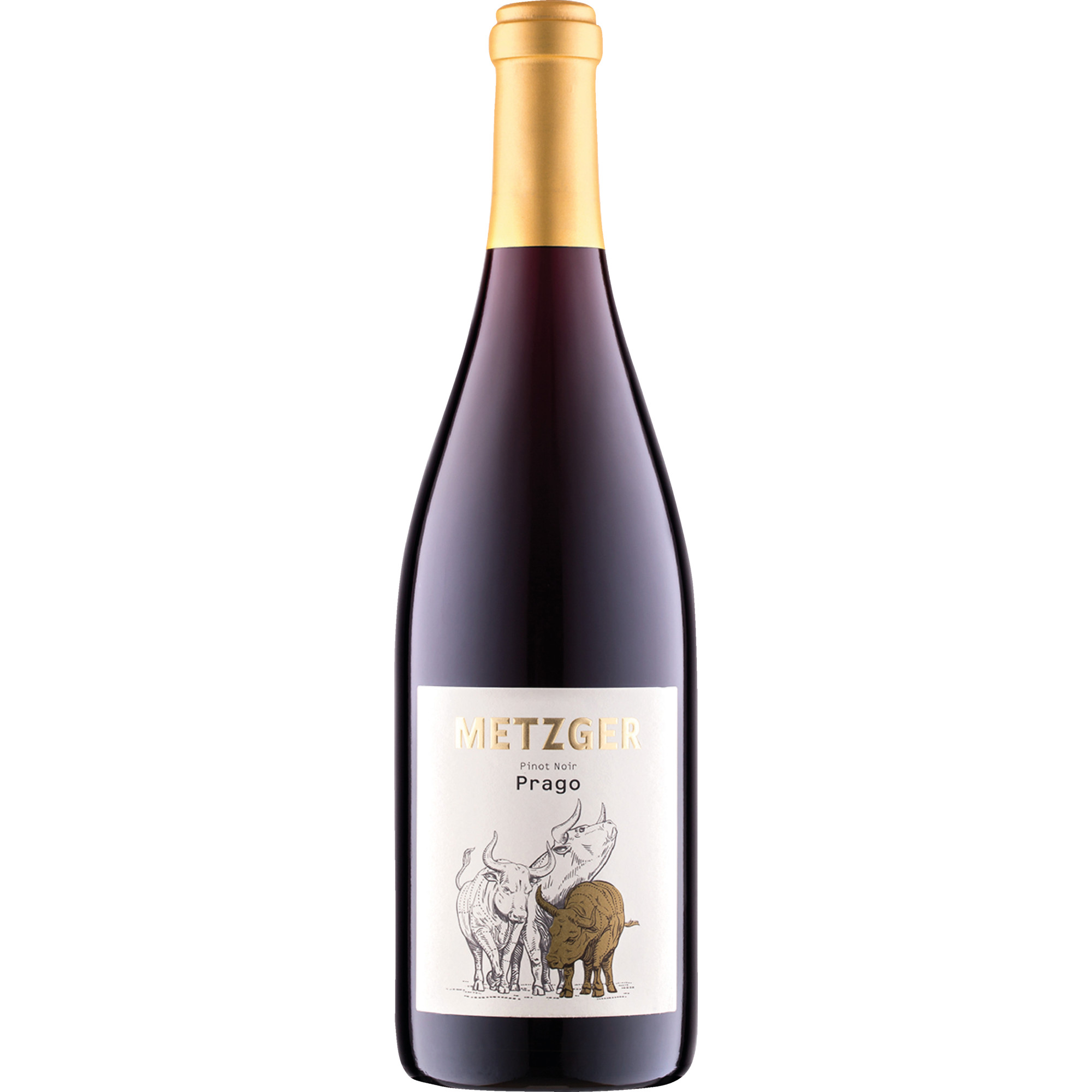 Prago Pinot Noir, Trocken, Pfalz, Pfalz, 2020, Rotwein
