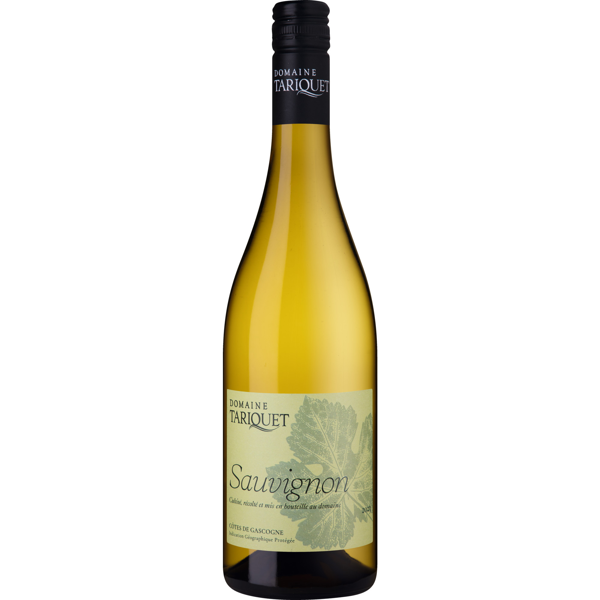 Domaine Tariquet Sauvignon Blanc, Côtes de Gascogne IGP, Südwestfrankreich, 2023, Weißwein