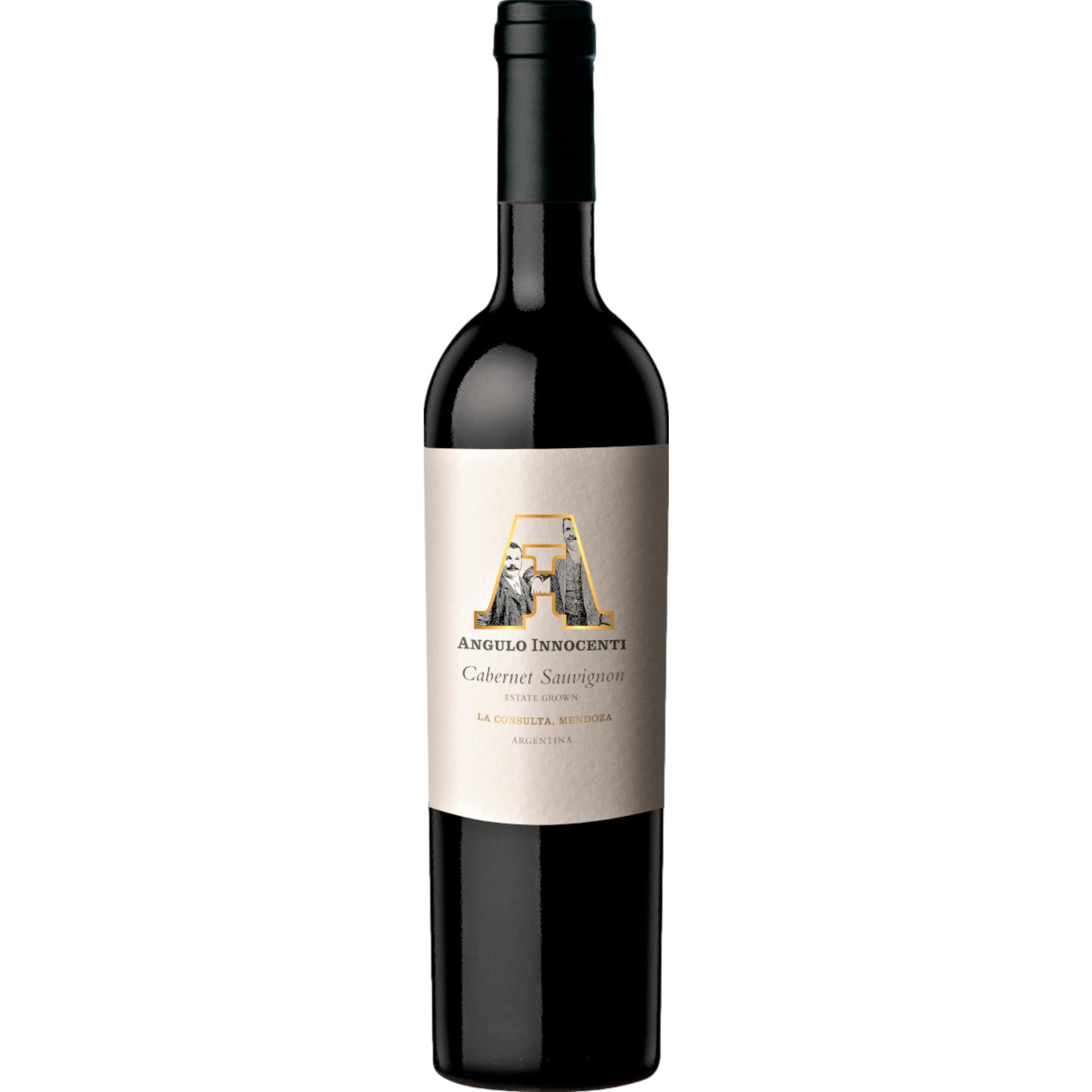 AI Cabernet Sauvignon, Mendoza, Mendoza, 2017, Rotwein