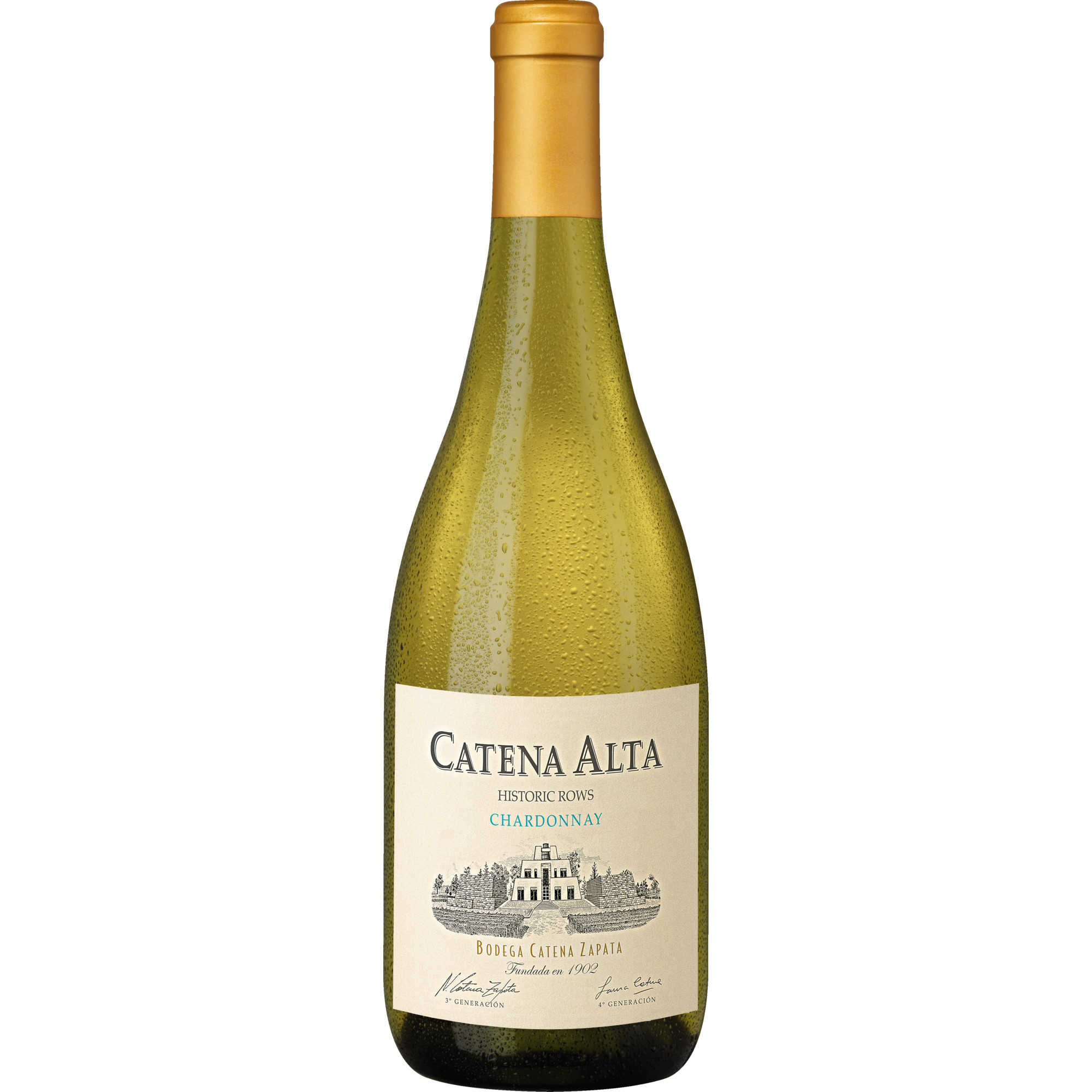 Catena Alta Chardonnay, Mendoza, Mendoza, 2022, Weißwein - Weißwein