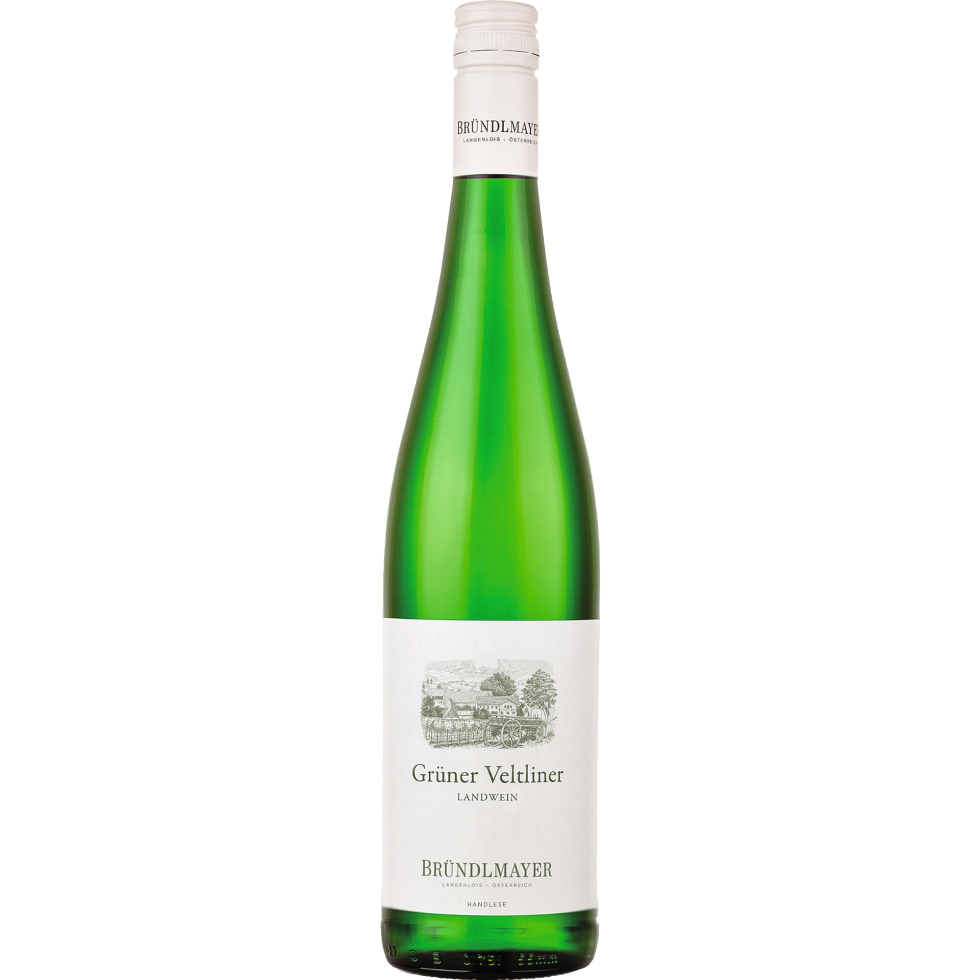 Image of Landwein Grüner Veltliner, Kamptal, Niederösterreich, 2023, Weißwein