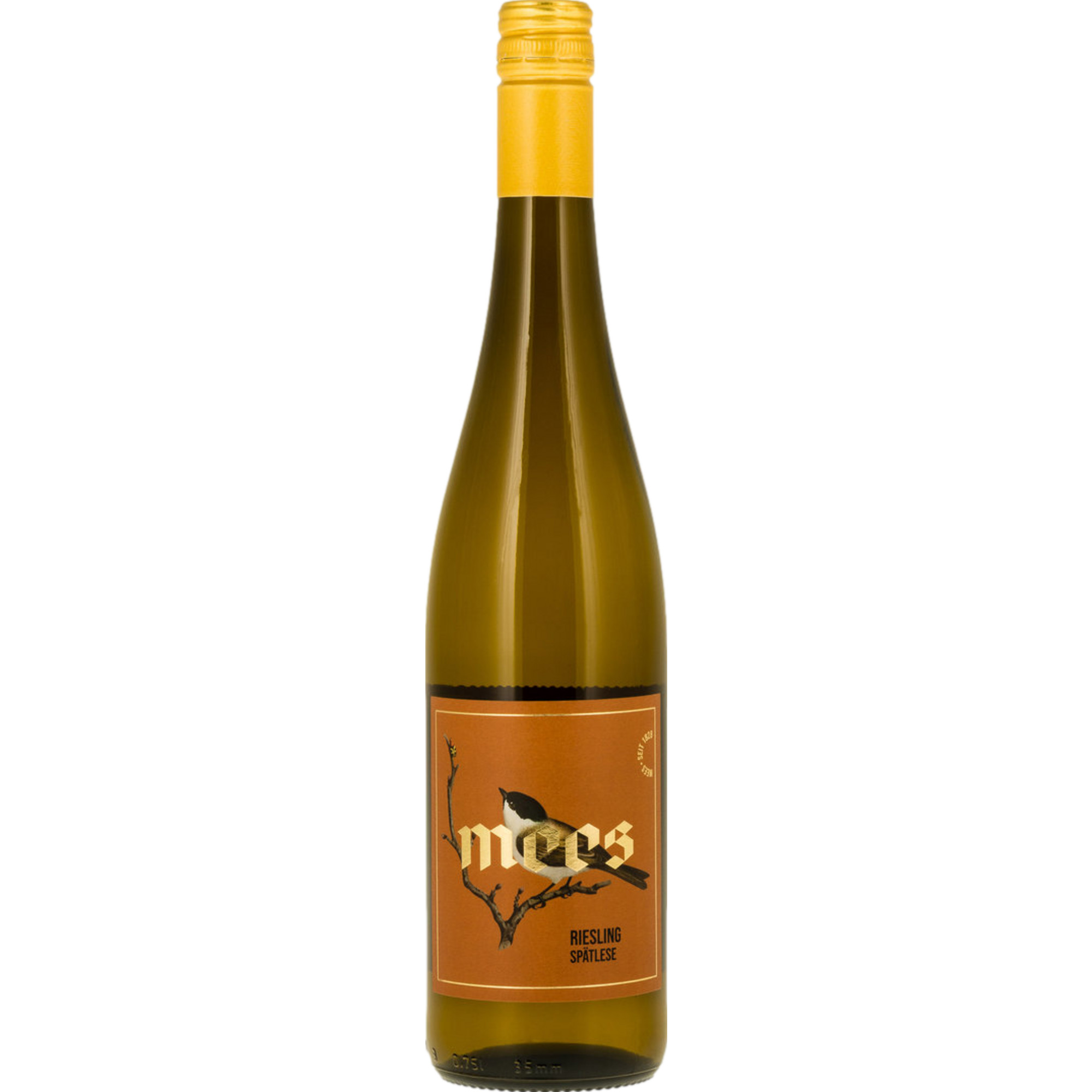 Mees Paradies Riesling Spätlese, Fruchtsüß, Nahe, Nahe, 2022, Weißwein