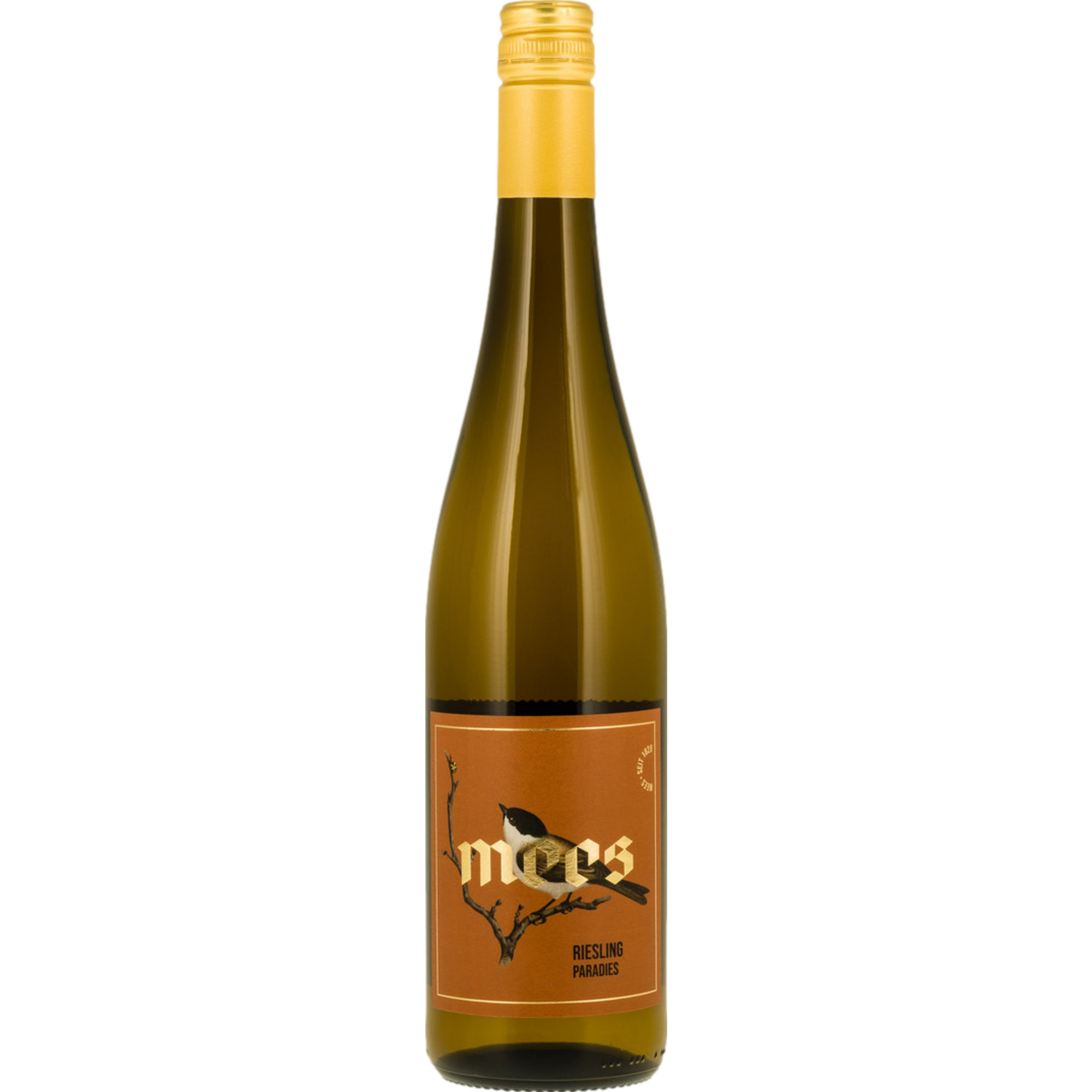 Mees Paradies Riesling, Trocken, Nahe, Nahe, 2022, Weißwein