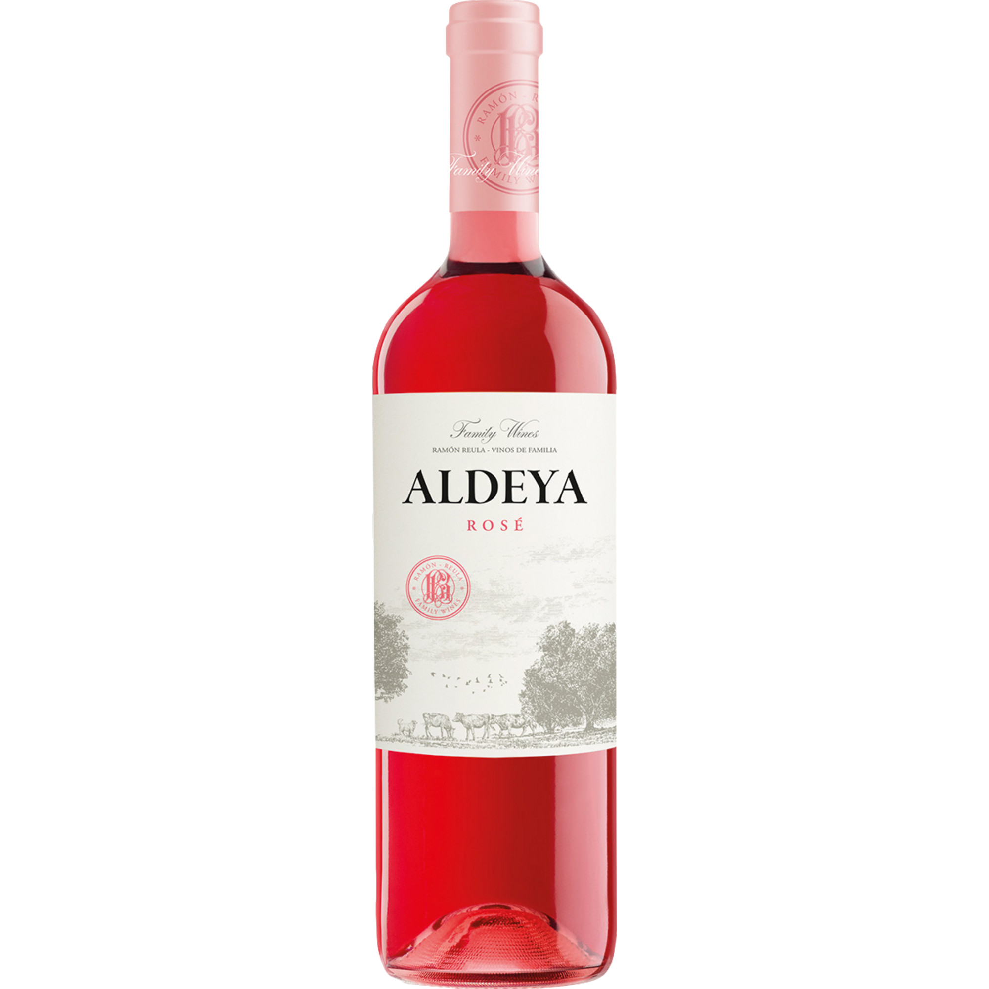 Aldeya Rosado Bio, Vino de la Tierra, Aragonien, 2023, Roséwein