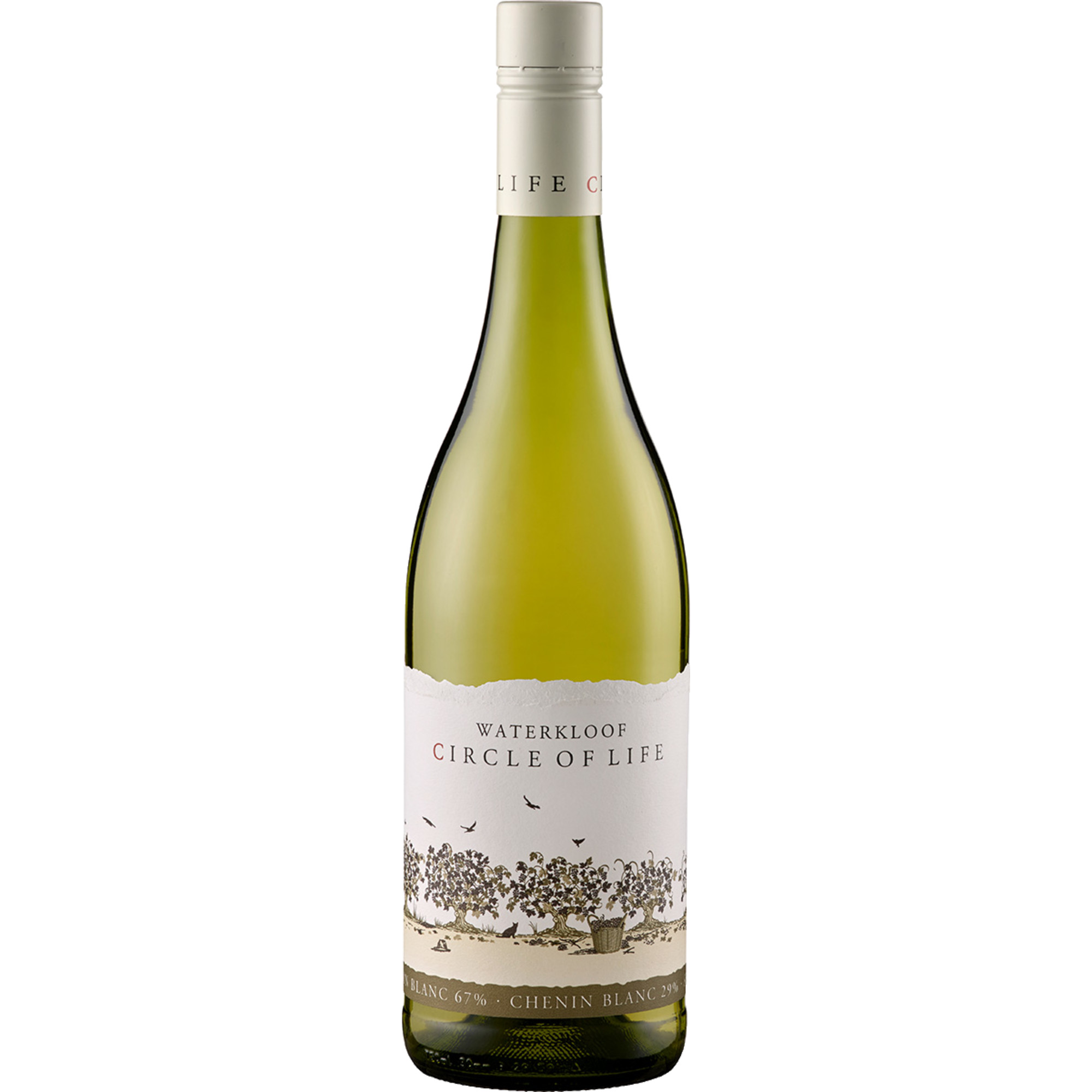 Waterkloof Circle of Life White, WO Coastal Region, Western Cape, 2023, Weißwein