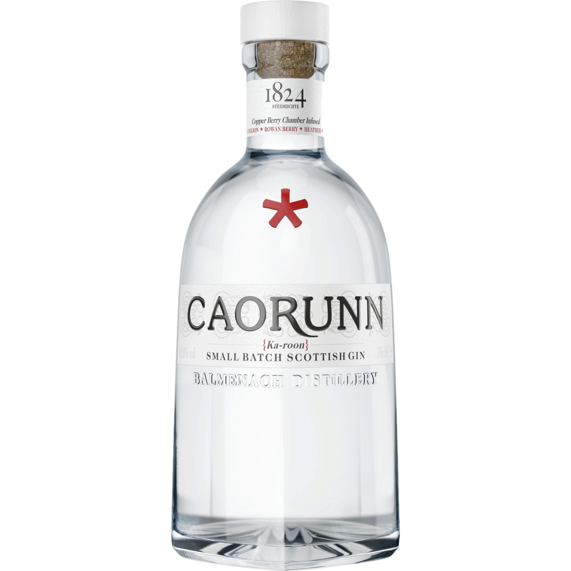 Image of Caorunn Gin
