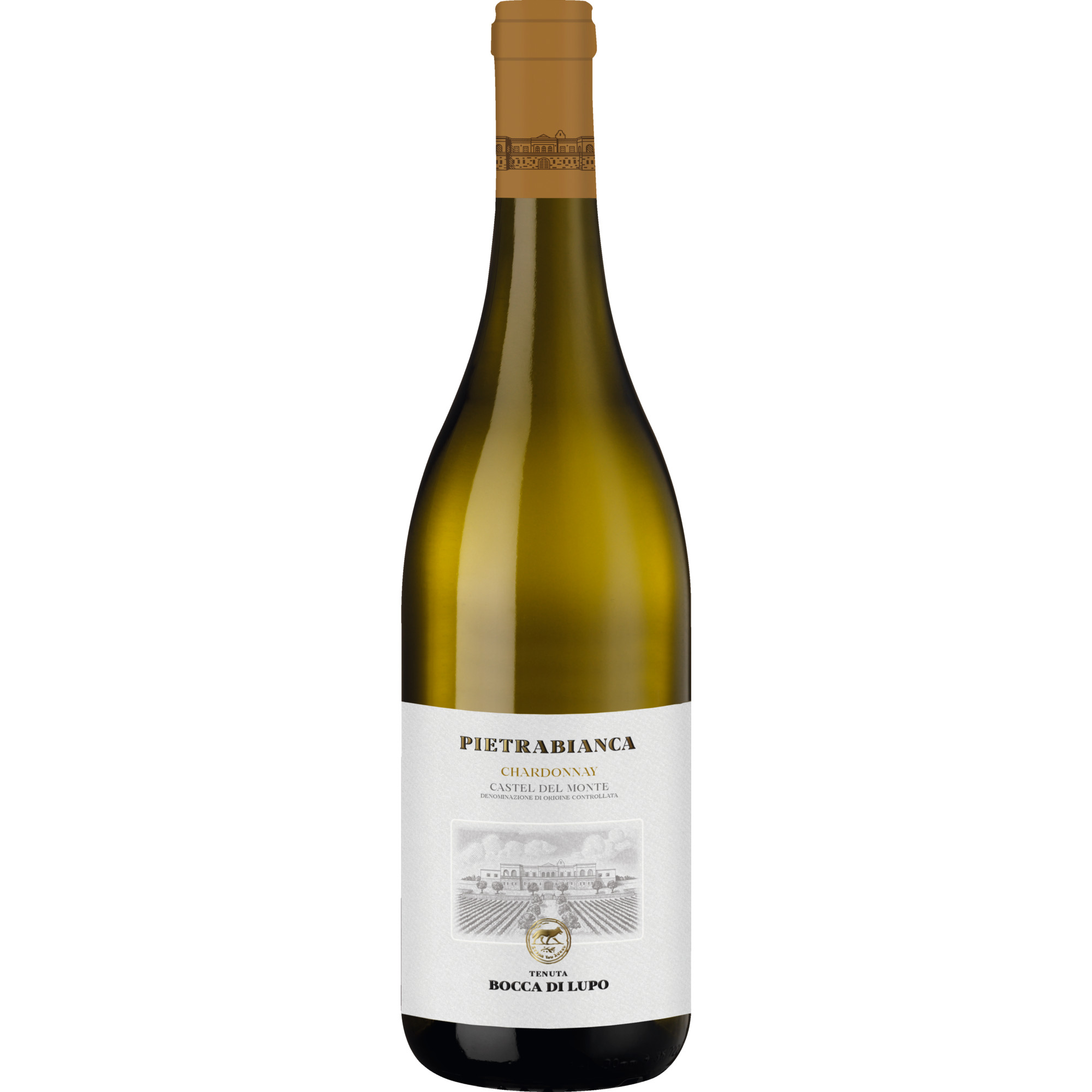 Pietrabianca Chardonnay, Castel del Monte DOC, Apulien, 2023, Weißwein
