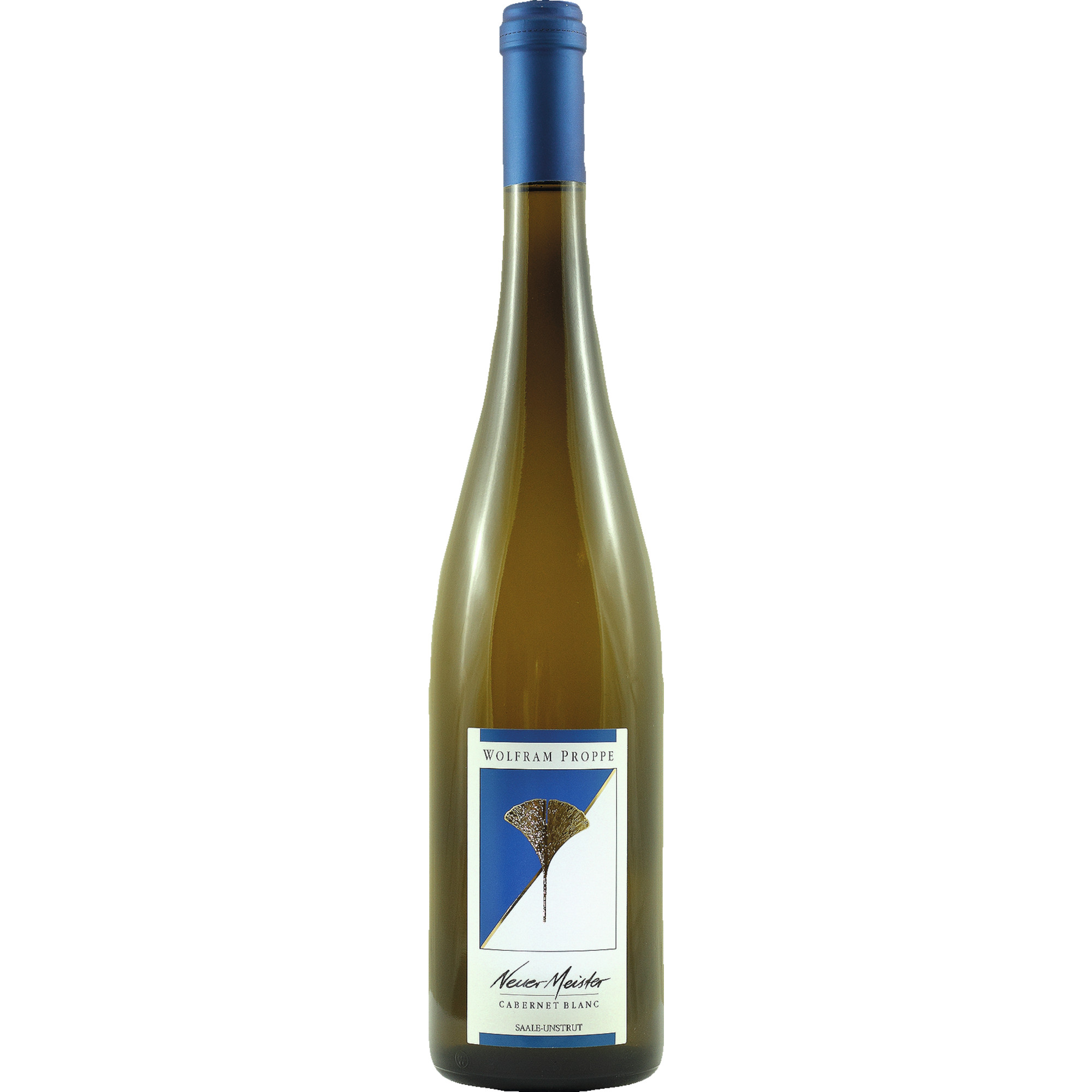 Neuer Meister Cabernet Blanc Proppe, trocken, Saale-Unstrut, Saale-Unstrut, 2023, Weißwein