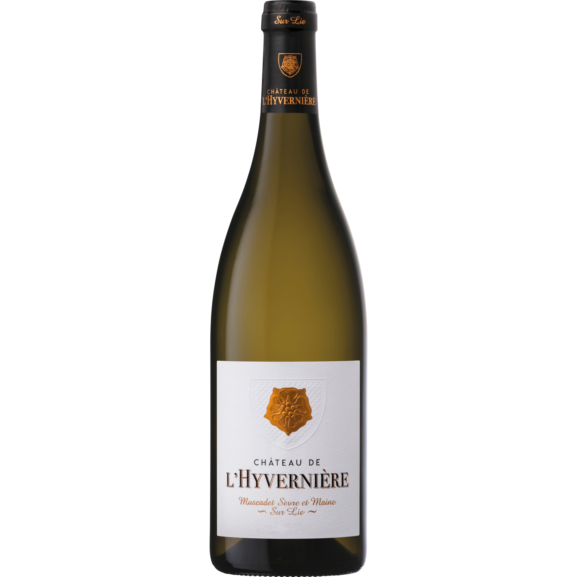 Muscadet Sèvre et Maine Sur Lie, Muscadet de Sèvre et Maine AOP, Loire, 2021, Weißwein