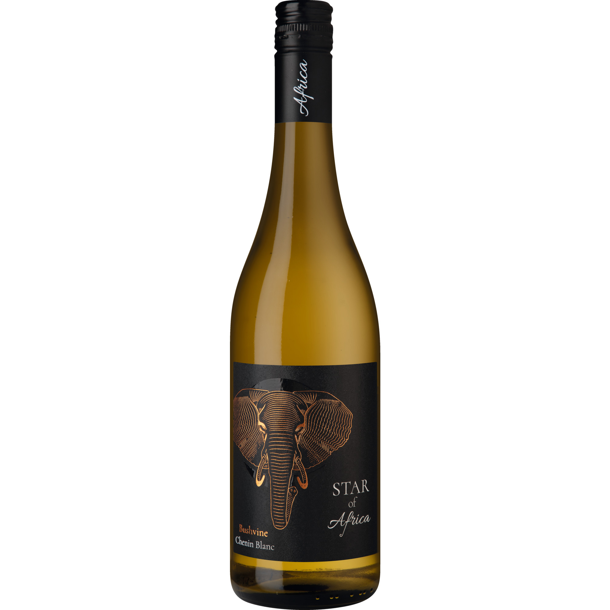 Star of Africa Chenin Blanc Bush Vine, WO Western Cape, Western Cape, 2024, Weißwein Hanseatisches Wein- und Sekt-Kontor Hawesko GmbH, Friesenweg 24, D-22763 Hamburg Hawesko DE