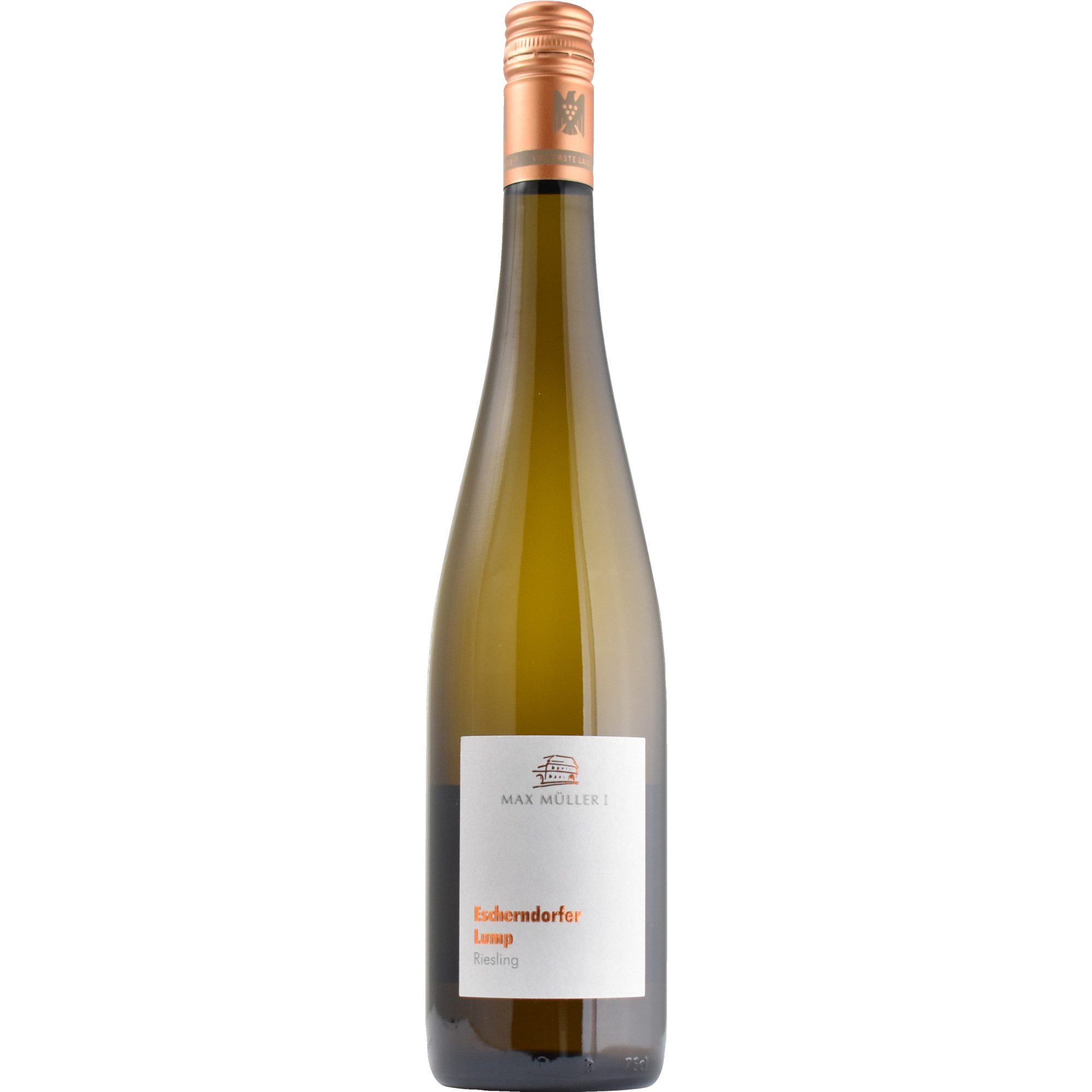 Escherndorfer Lump Riesling Erste Lage, Trocken, Franken, Franken, 2023, Weißwein