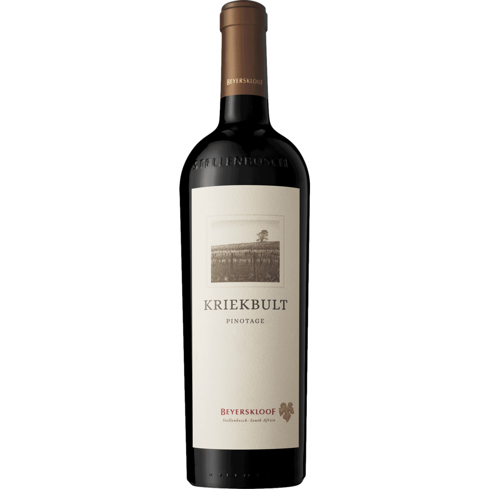 Beyerskloof Kriekbult Pinotage, WO Stellenbosch, Western Cape, 2021, Rotwein