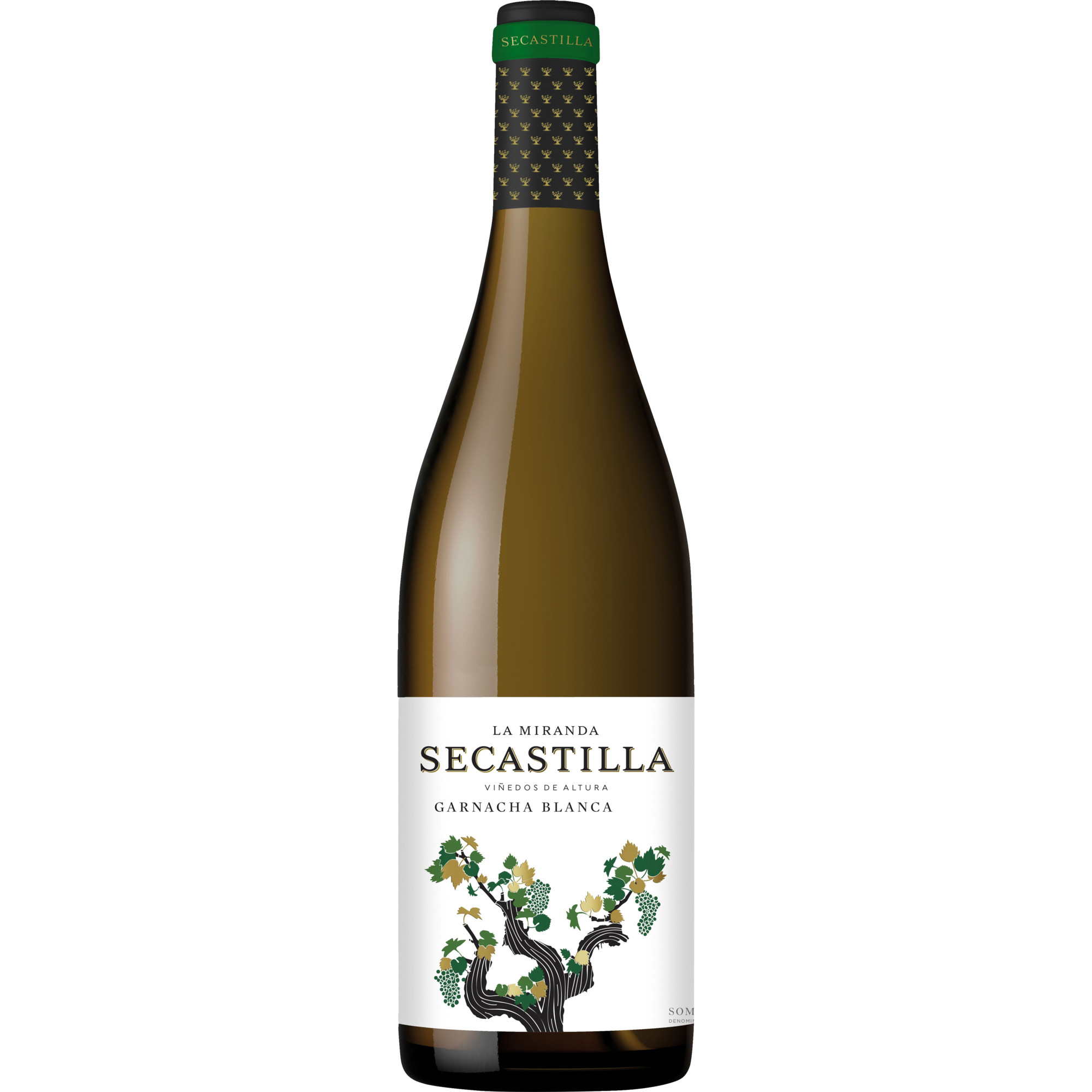 La Miranda de Secastilla Blanca, Trocken, Aragonien, Aragonien, 2022, Weißwein