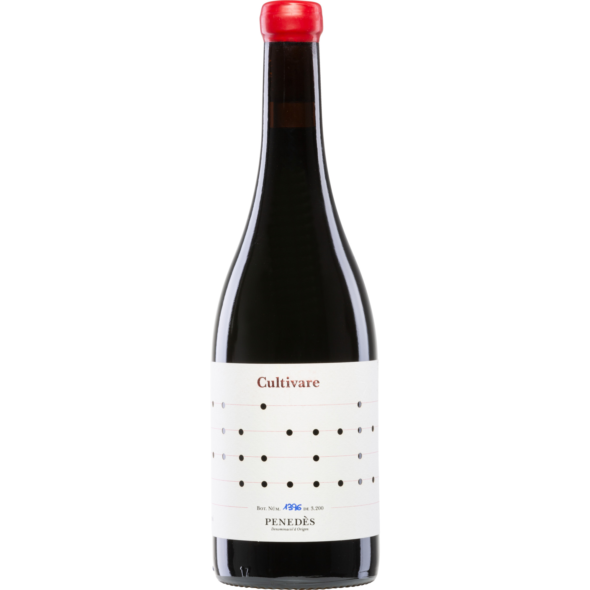 Cultivare Sumoll Samsó, Penedès DO, Katalonien, 2019, Rotwein