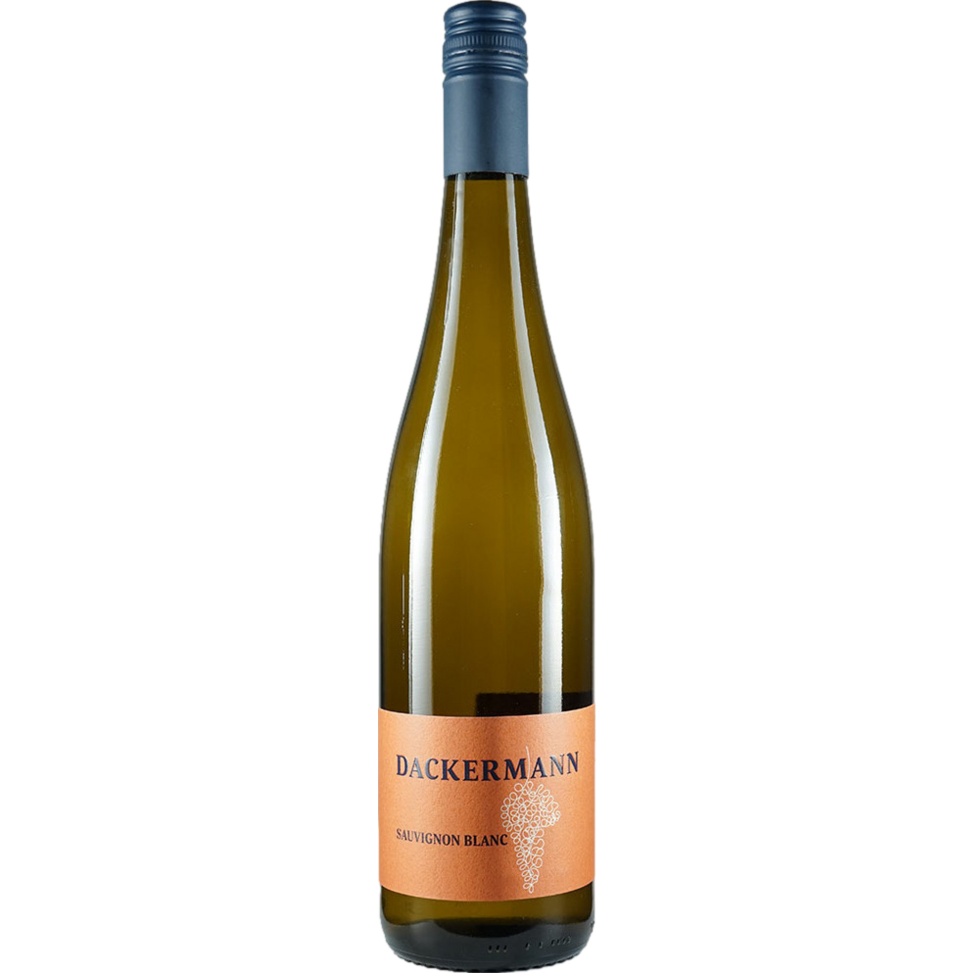 Dackermann Sauvignon blanc, Trocken, Rheinhessen, Rheinhessen, 2023, Weißwein