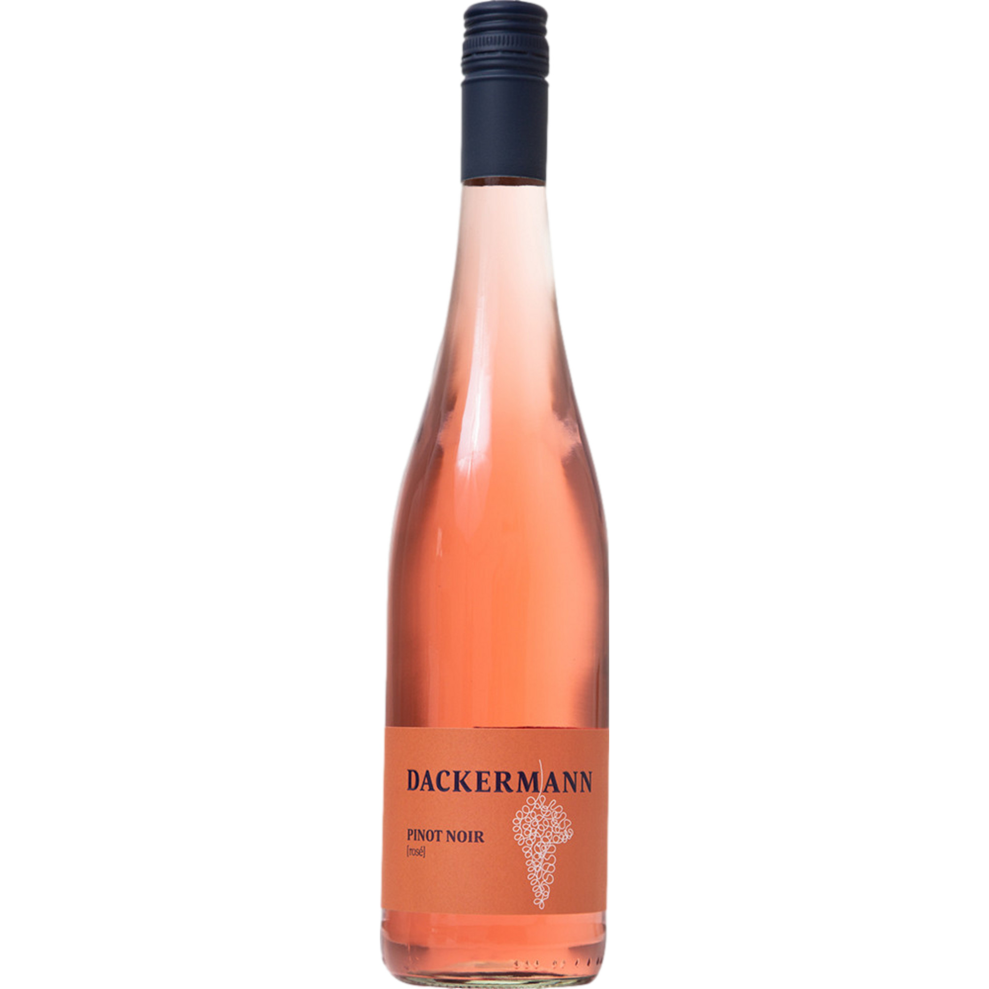 Dackermann Pinot Noir Rosé, Trocken, Rheinhessen, Rheinhessen, 2023, Roséwein - Roséwein