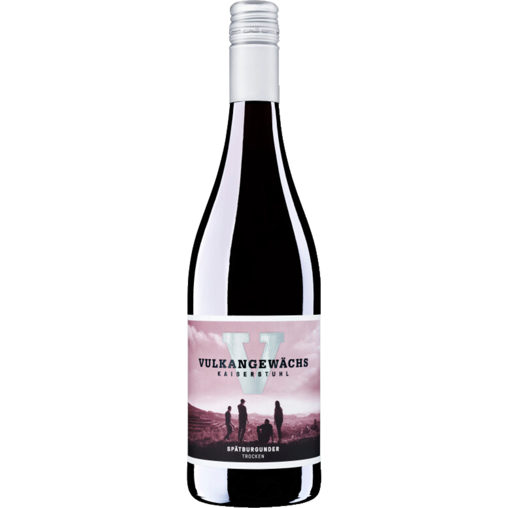 Oberrotweiler Vulkangewächs Spätburgunder, Trocken, Baden, Baden, 2022, Rotwein