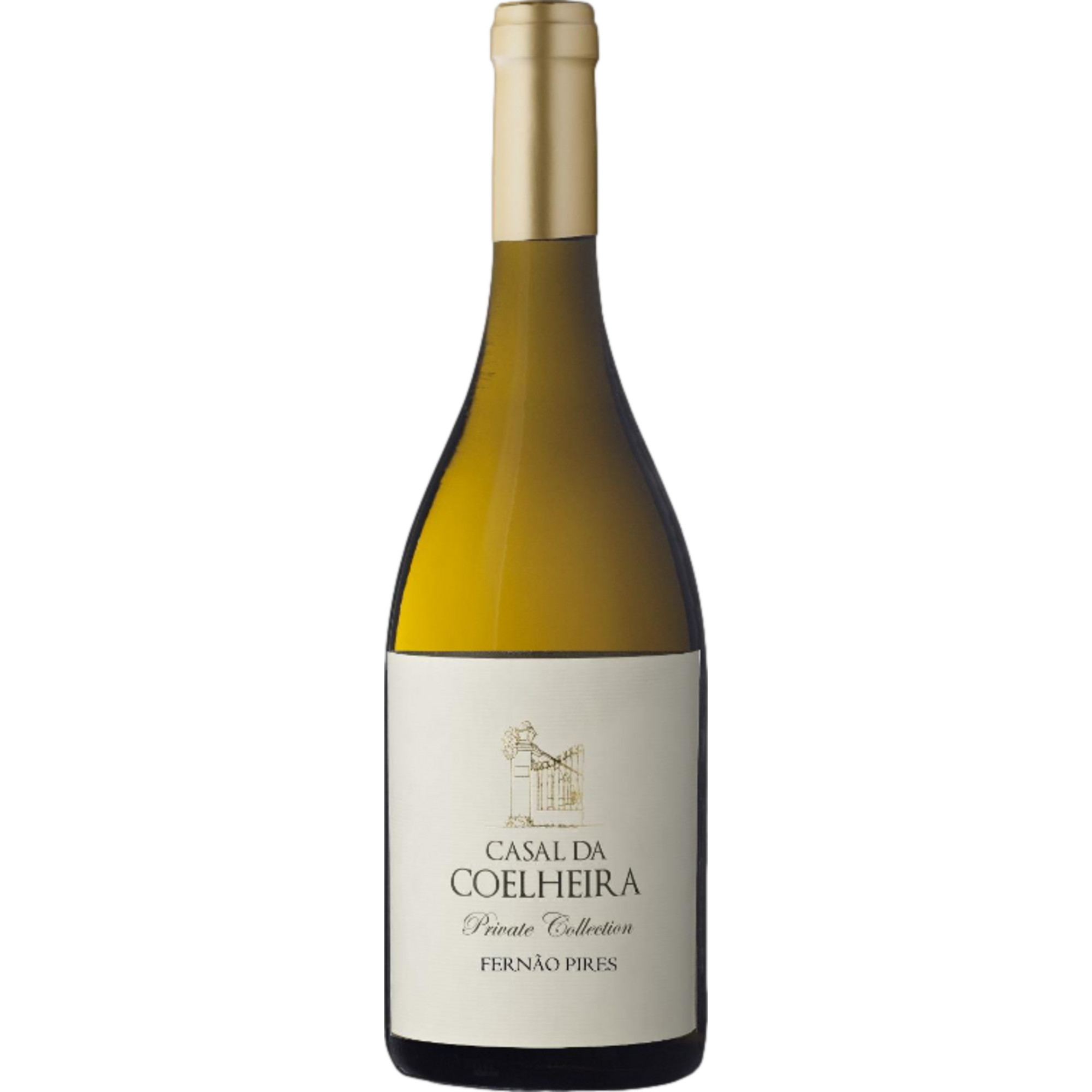 Casal da Coelheira Private Collection Fernão Pires, Vinho Regional Tejo, Tejo, 2023, Weißwein - Weißwein