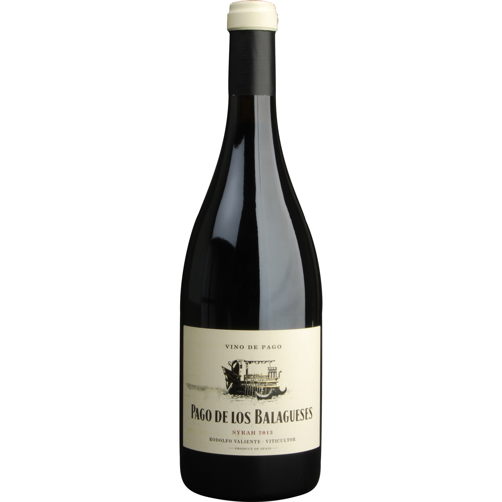 Vegalfaro Pago De Los Balagueses Syrah Bio, Vino de Pago DOP, Utiel-Requena D.O., 2020, Rotwein - Rotwein