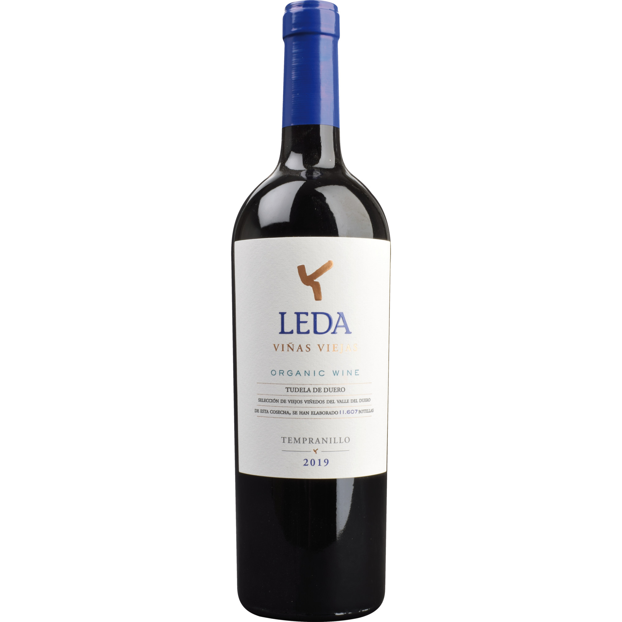 Mas De Leda Viñas Viejas Bio, Castilla y Leon, Kastilien - León, 2019, Rotwein - Rotwein
