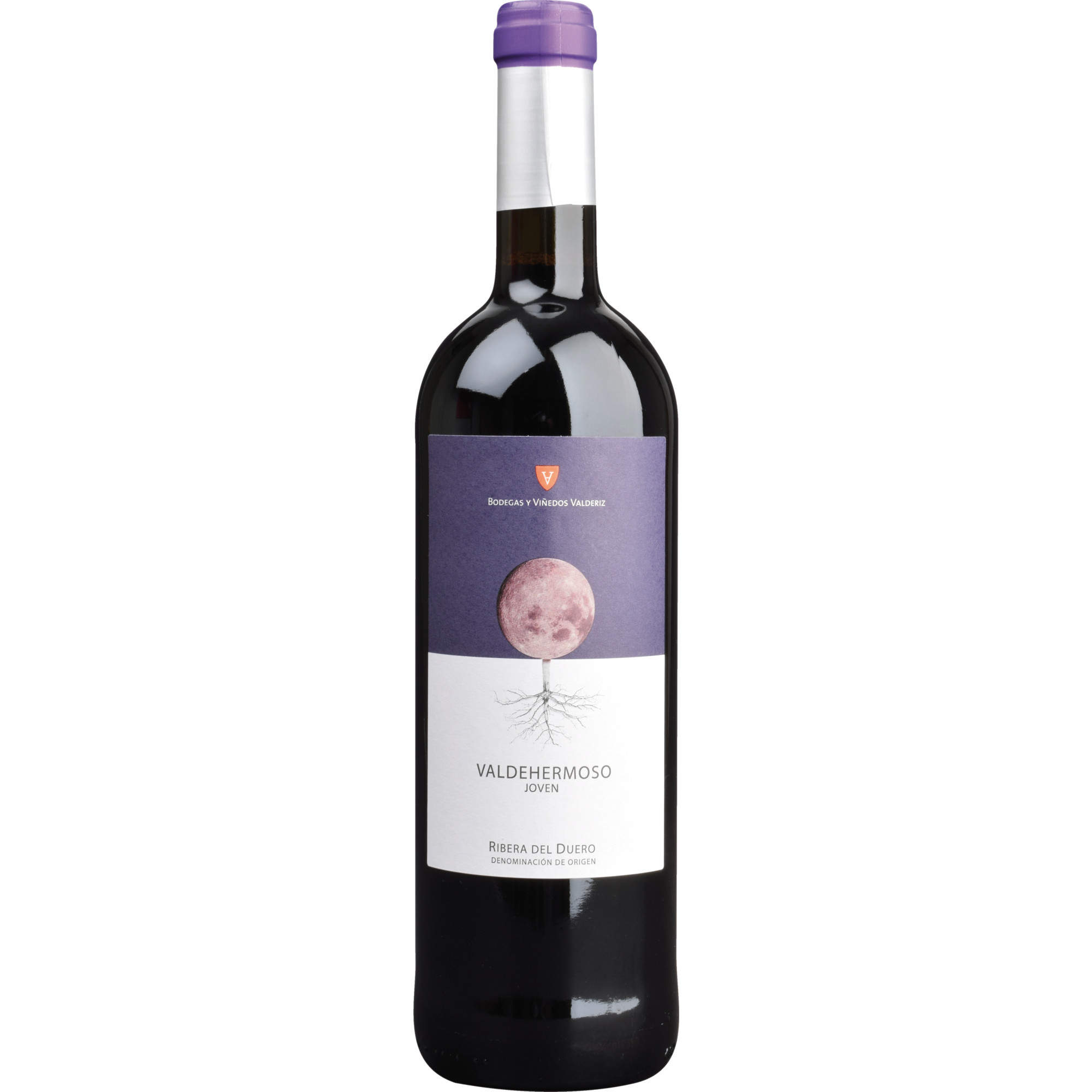 Valderiz Valdehermoso Joven Bio, Ribera del Duero DO, Kastilien - León, 2023, Rotwein - Rotwein
