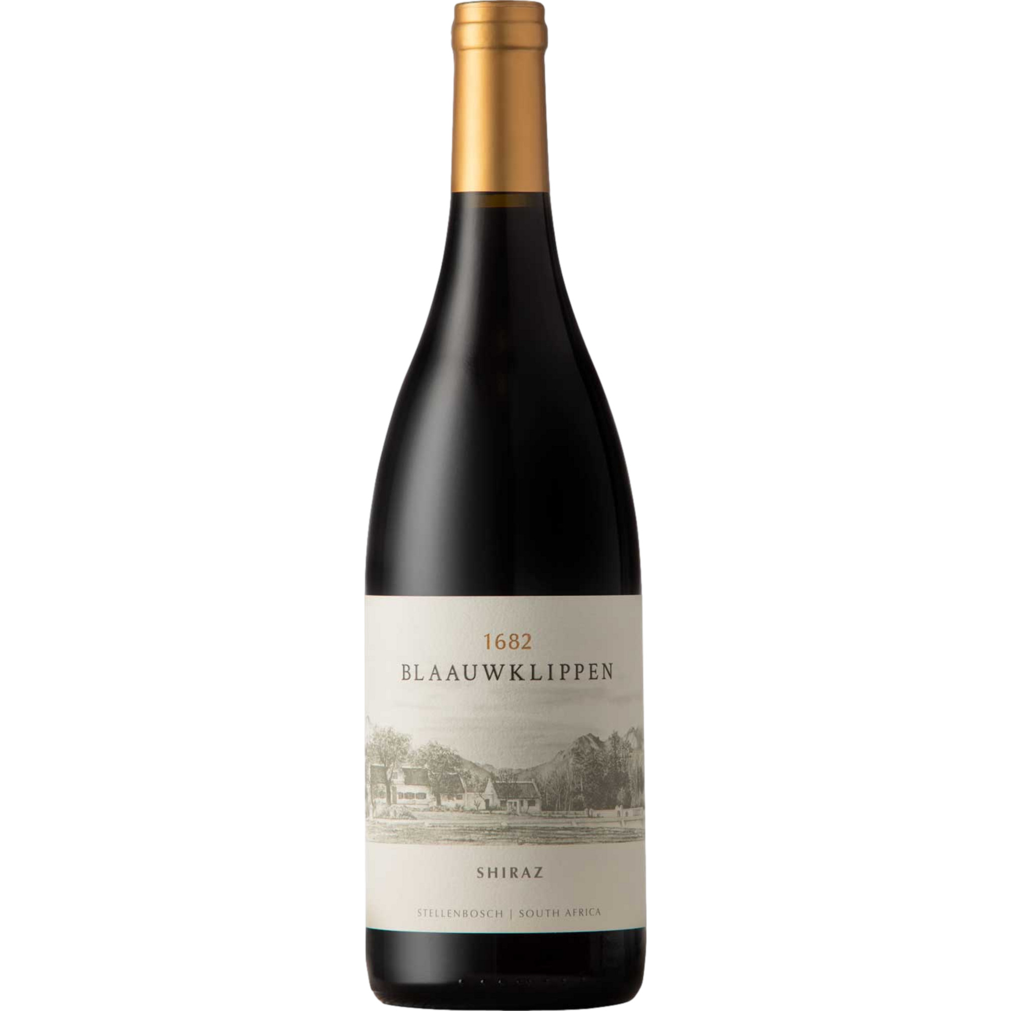 Blaauwklippen Selection Shiraz, WO Stellenbosch, Western Cape, 2020, Rotwein - Rotwein