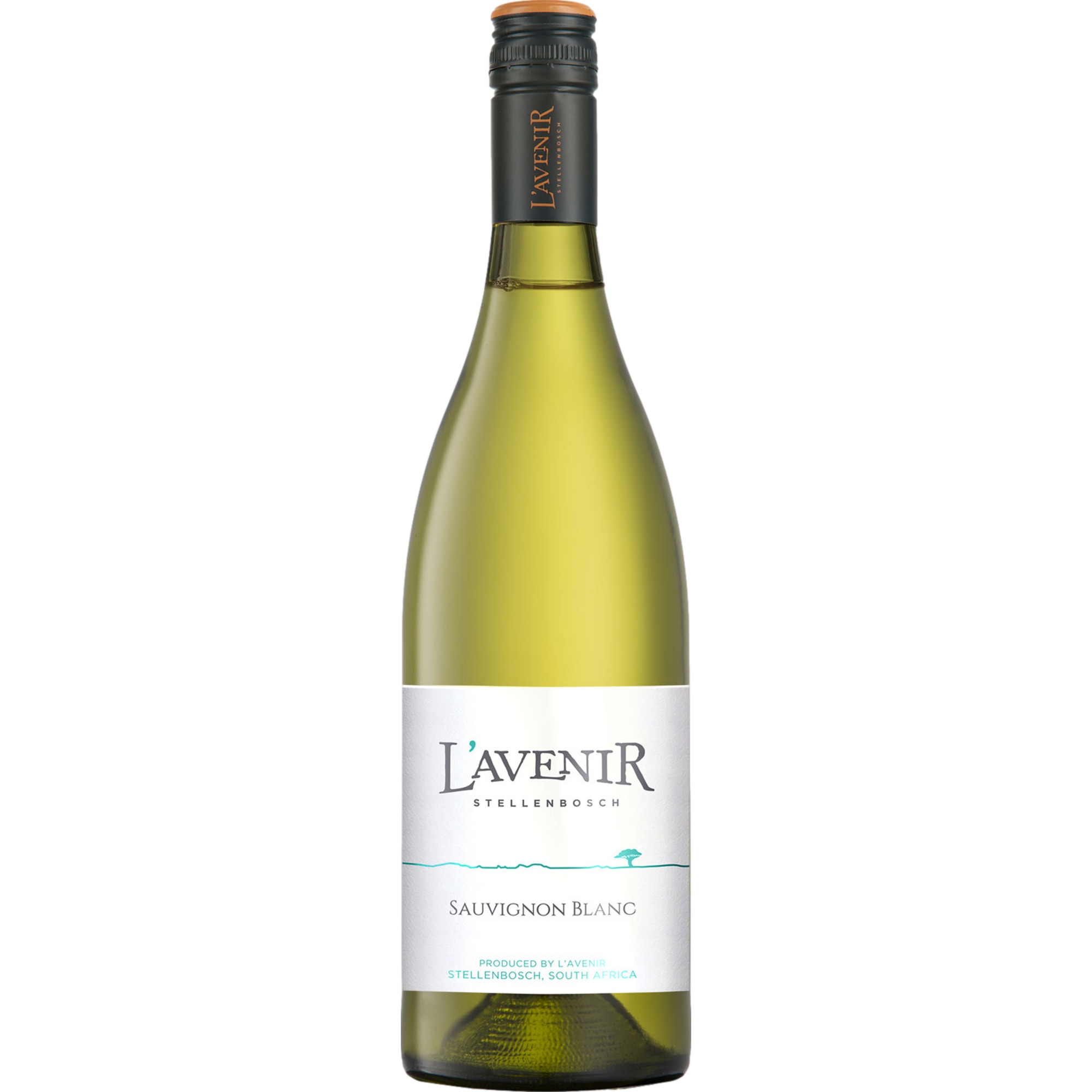 L%27Avenir Horizon Sauvignon Blanc, WO Stellenbosch, Western Cape, 2023, Weißwein - Weißwein