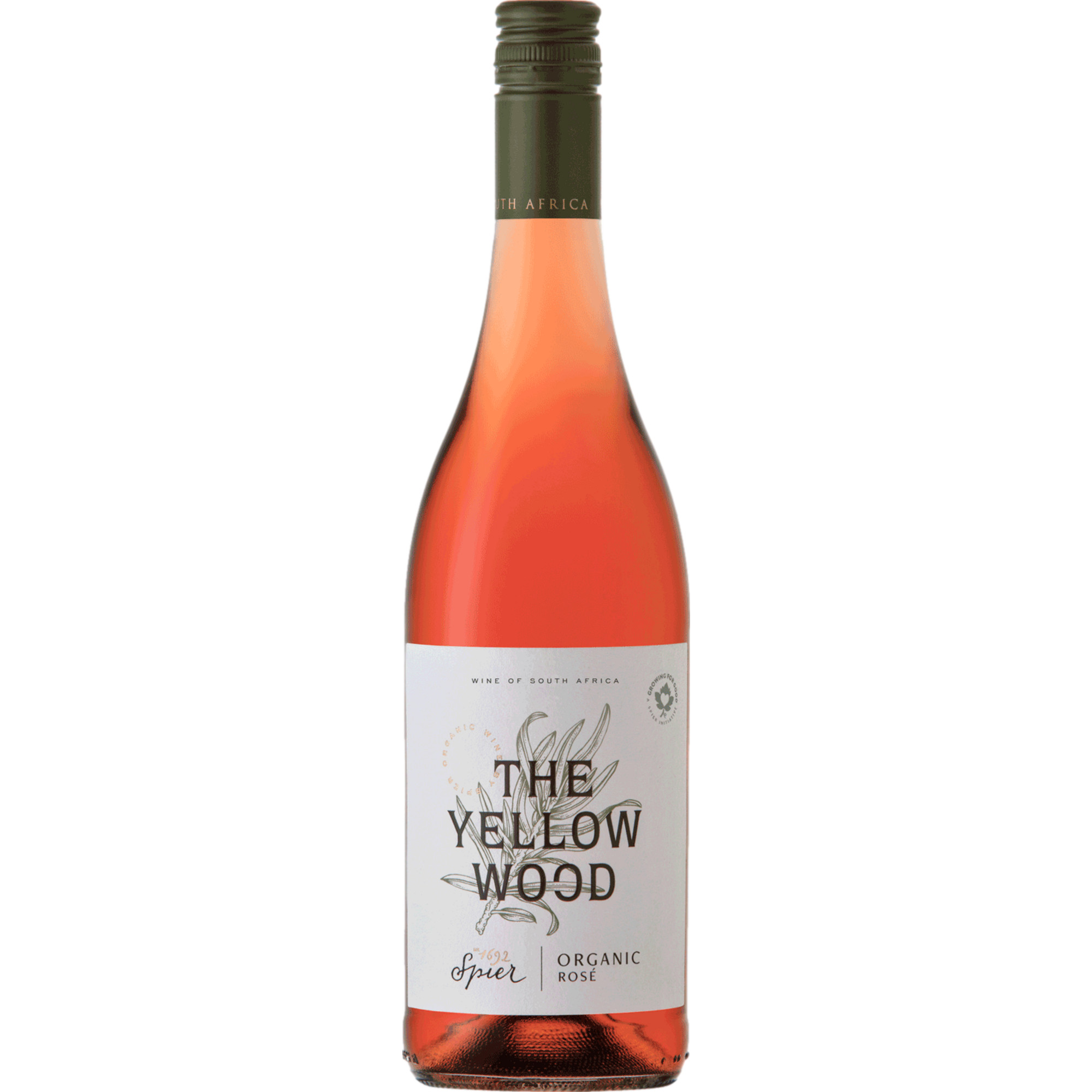 Image of Spier The Yellowwood Organic Rosé, WO Coastal Region, Western Cape, 2023, Weißwein