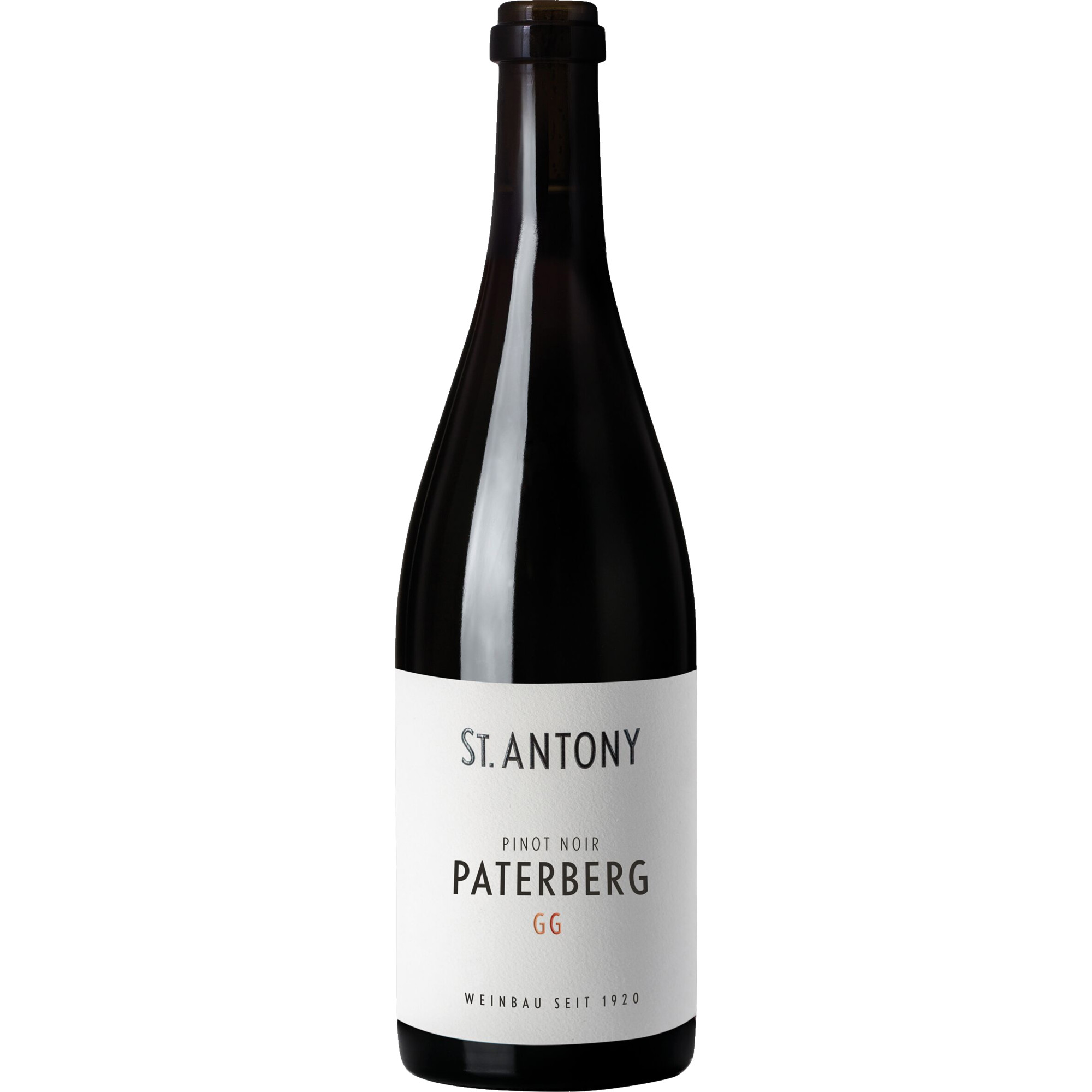Paterberg Pinot Noir GG, Trocken, Rheinhessen, Rheinhessen, 2022, Rotwein
