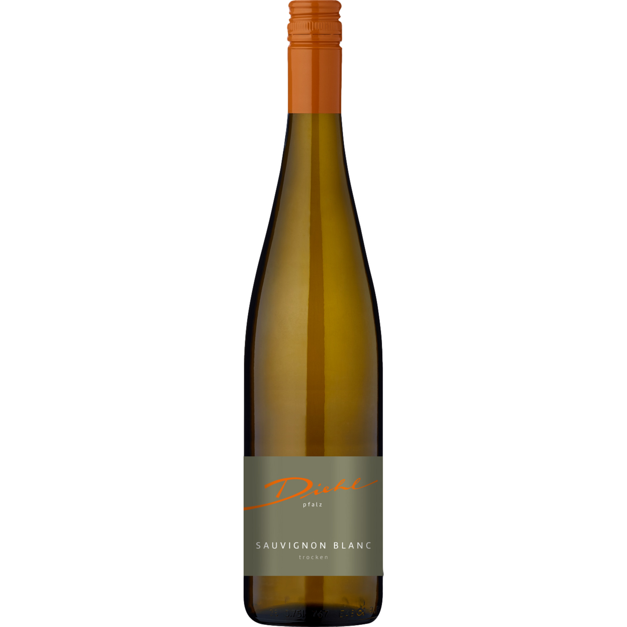Diehl Sauvignon Blanc, Trocken, Pfalz, Pfalz, 2023, Weißwein - Weißwein