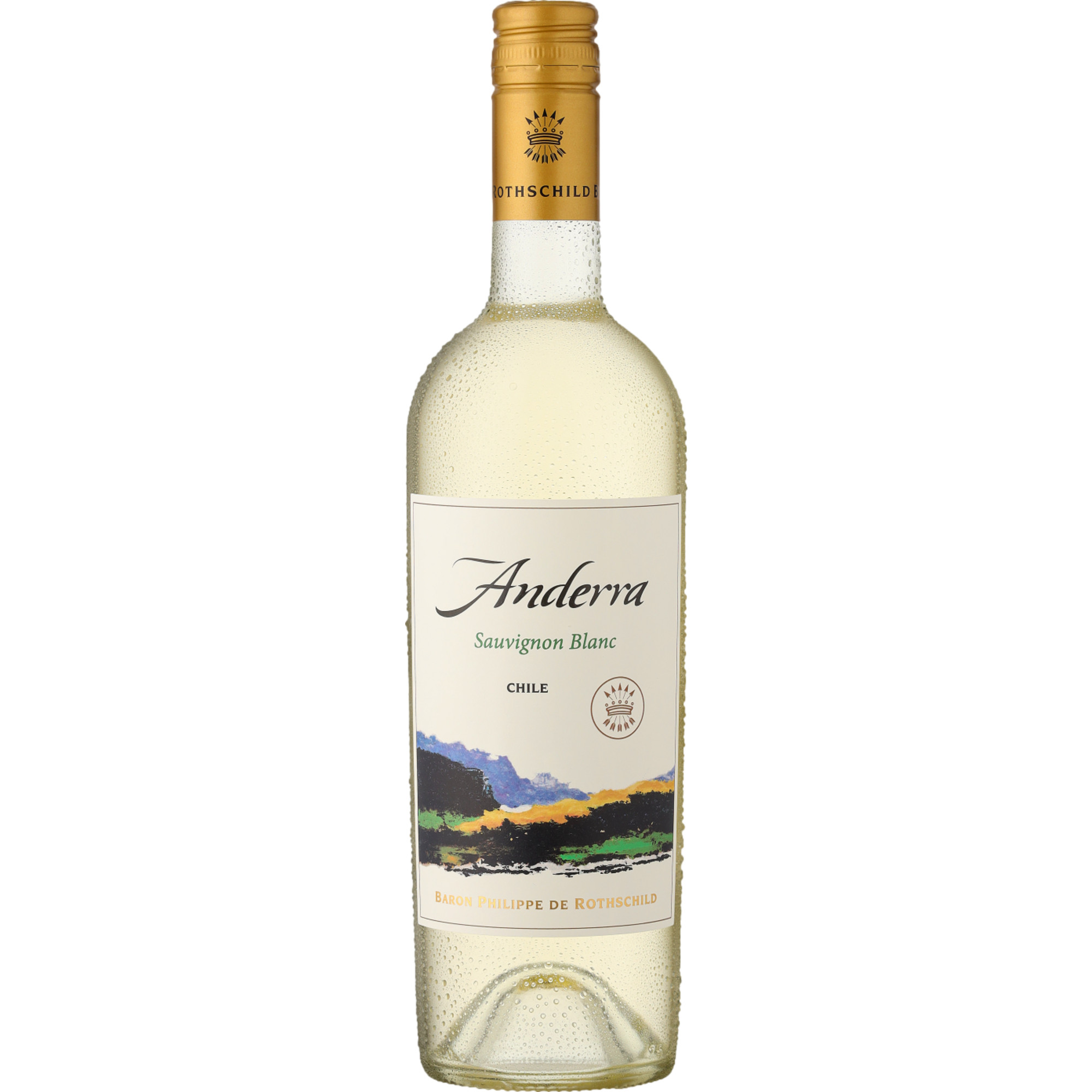 Anderra Sauvignon Blanc, Valle Central, Valle Central, 2023, Weißwein