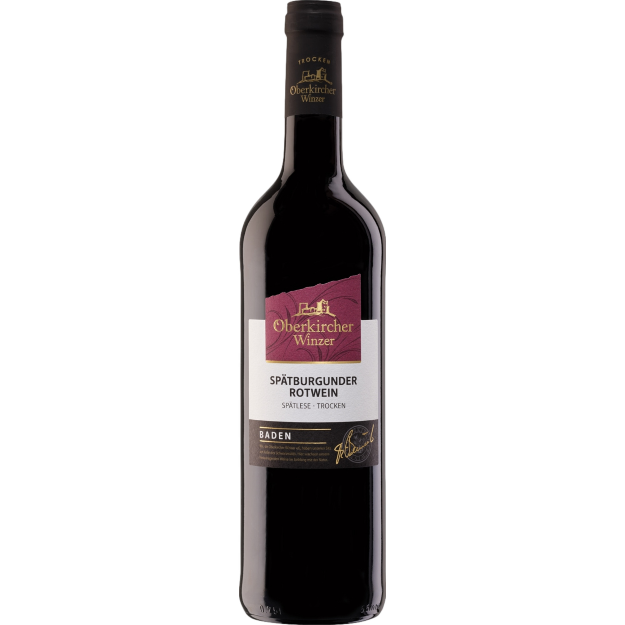 Oberkircher Spätburgunder Spätlese, Trocken, Baden, Baden, 2022, Rotwein