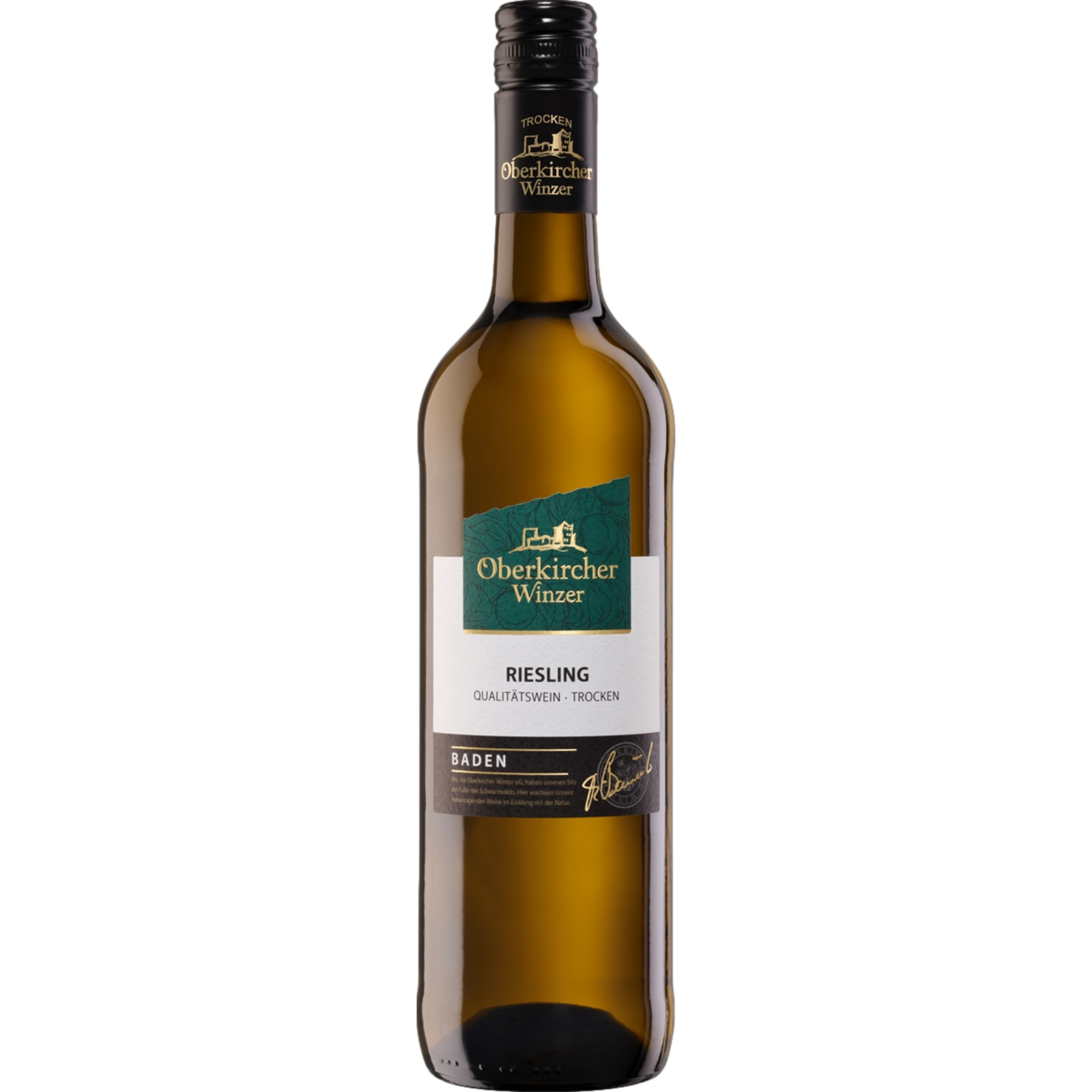Oberkircher Riesling, Trocken, Baden, Baden, 2023, Weißwein