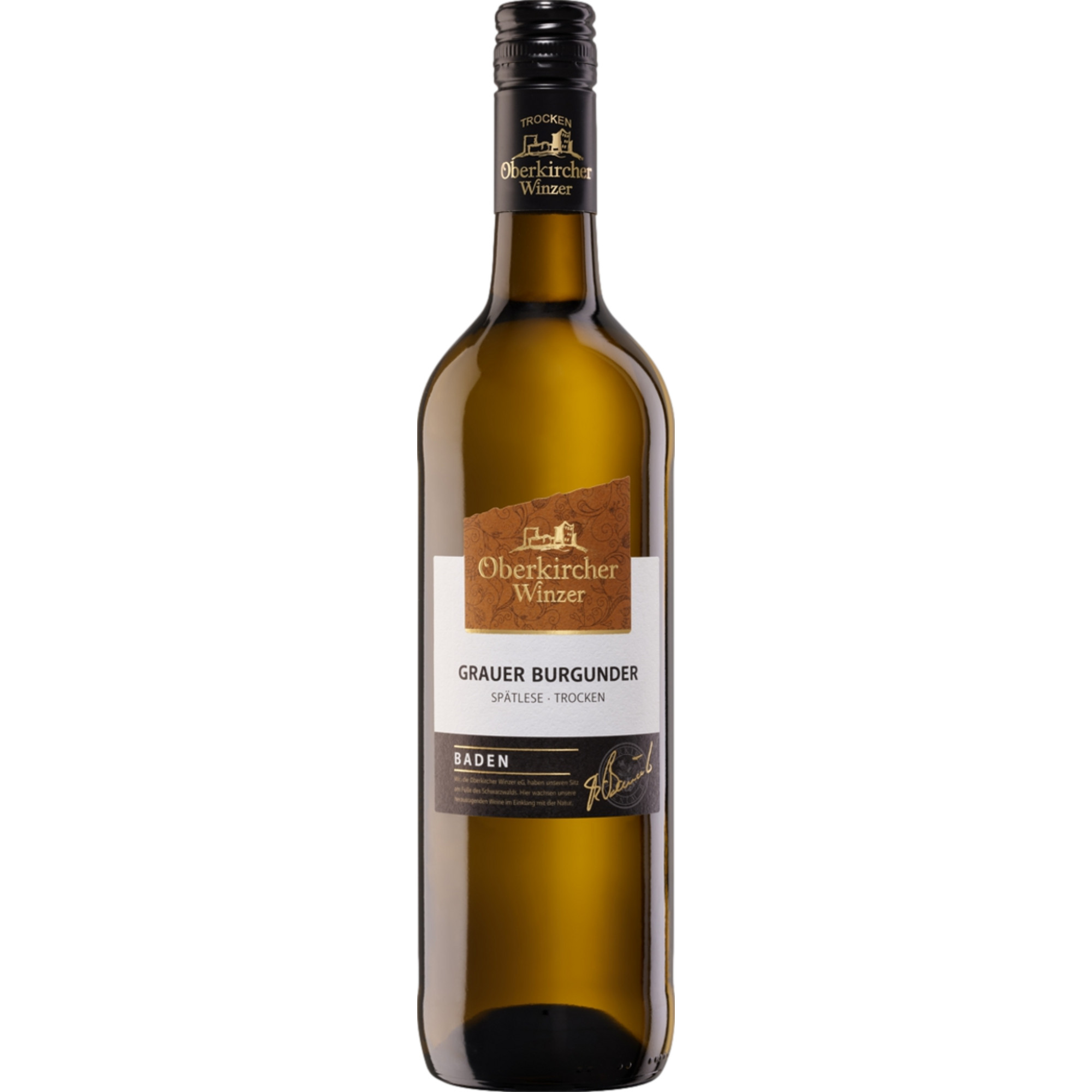 Image of Oberkircher Grauer Burgunder Spätlese, Trocken, Baden, Baden, 2023, Weißwein