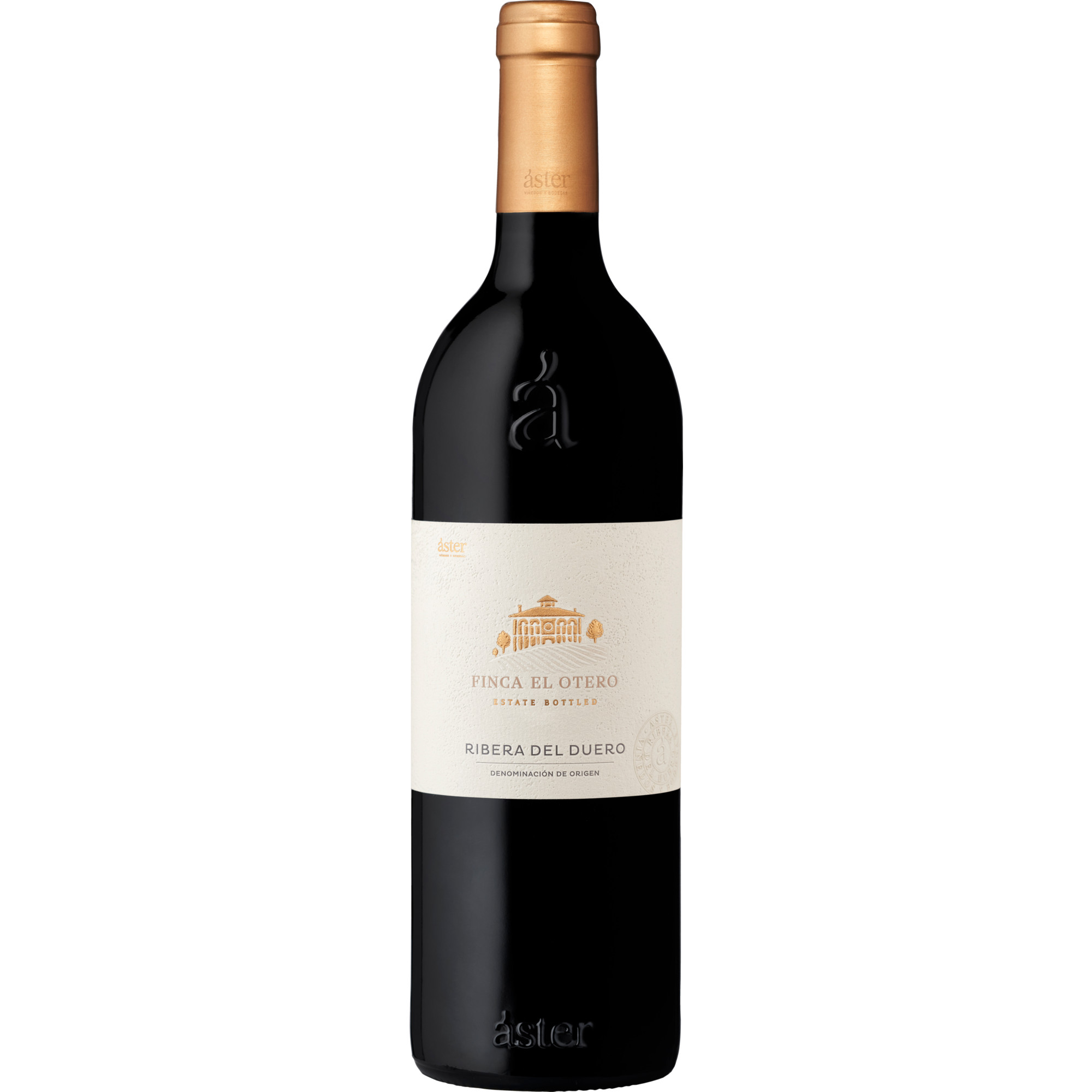Image of Áster Finca el Otero 2016