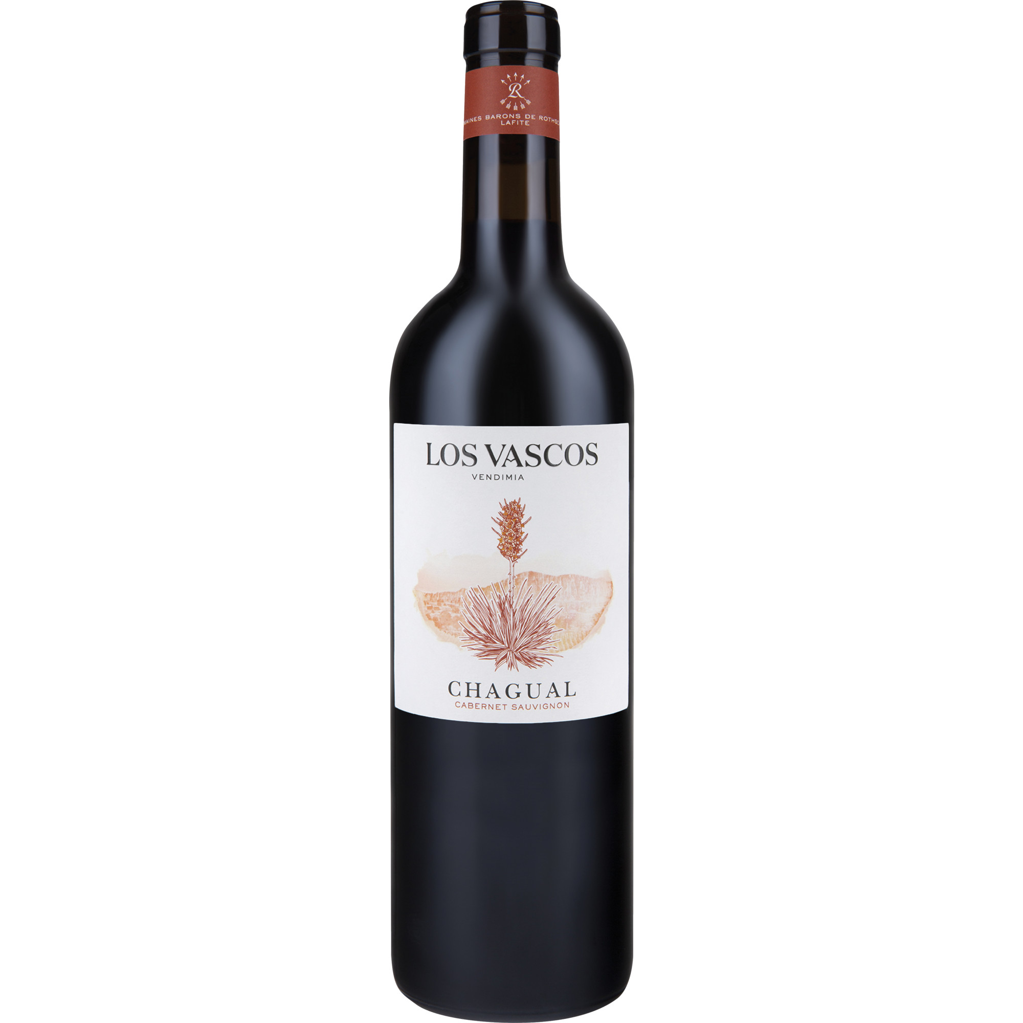 Los Vascos Chagual Cabernet Sauvignon, Valle de Colchagua, Valle de Aconcagua, 2021, Rotwein